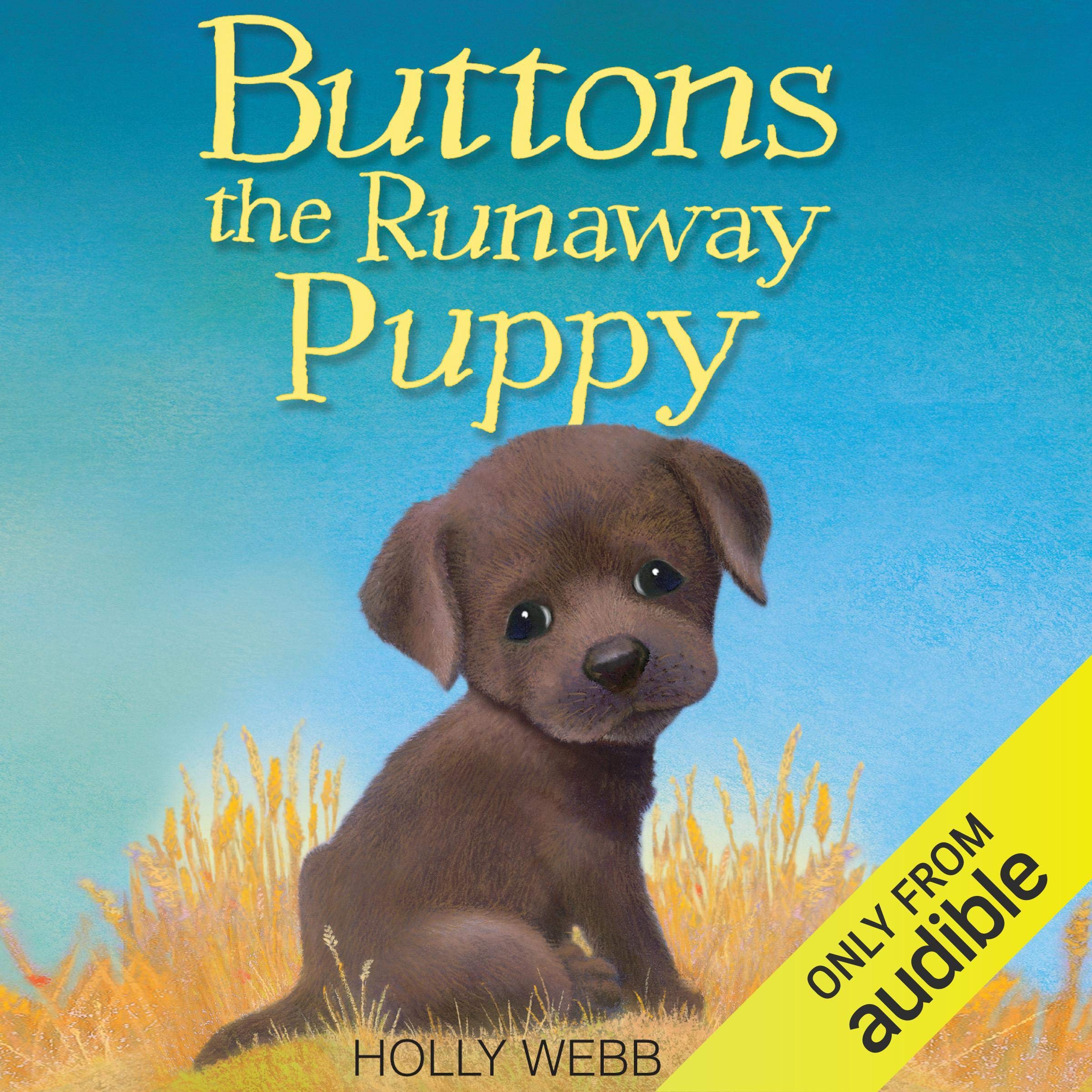 Cover art for Buttons the Runaway Puppy