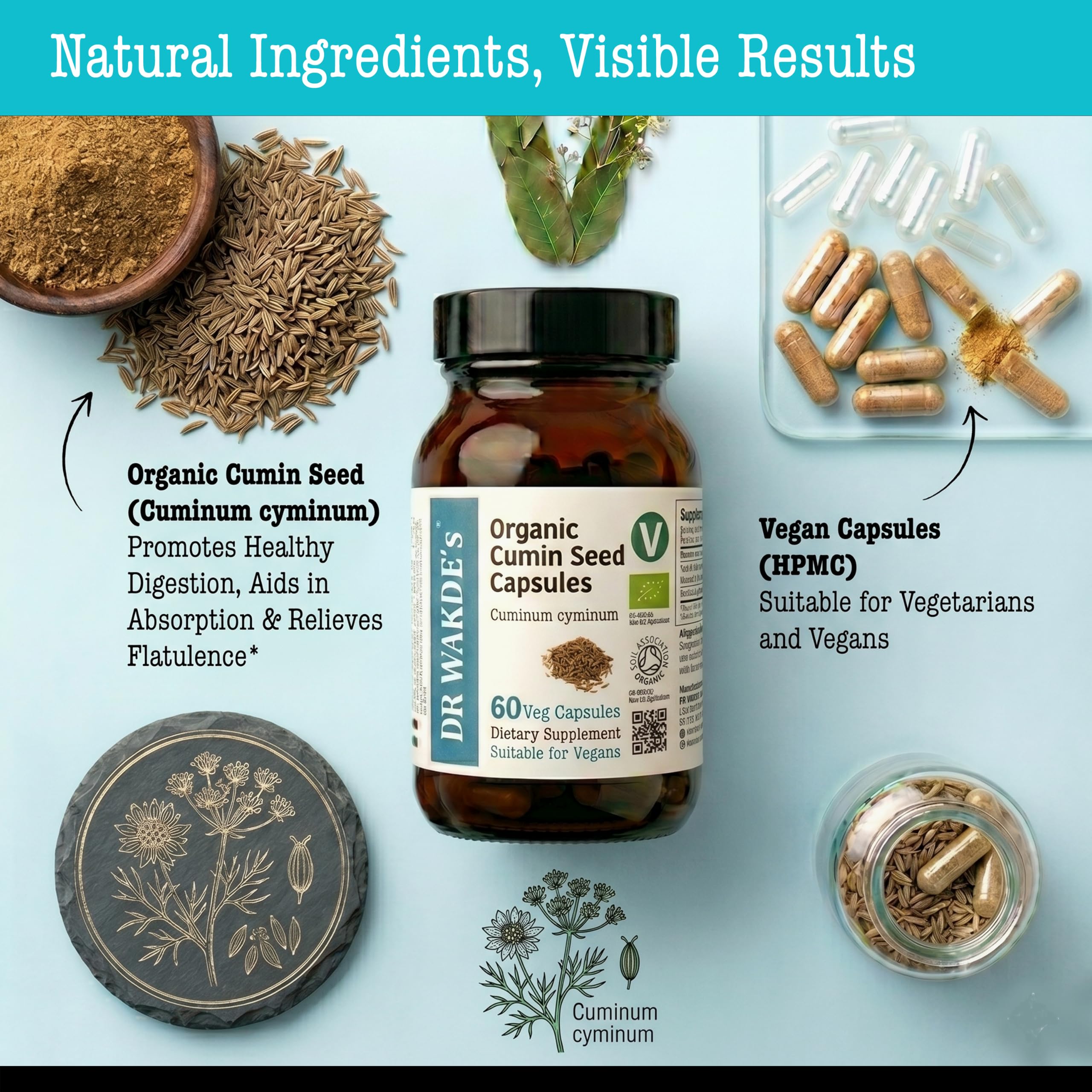 DR WAKDE'S Kreuzkümmel-Kapseln (Cumin) I 100% Kräuter I 60 Vegetarische Kapseln I Ayurvedische Nahrungsergänzung