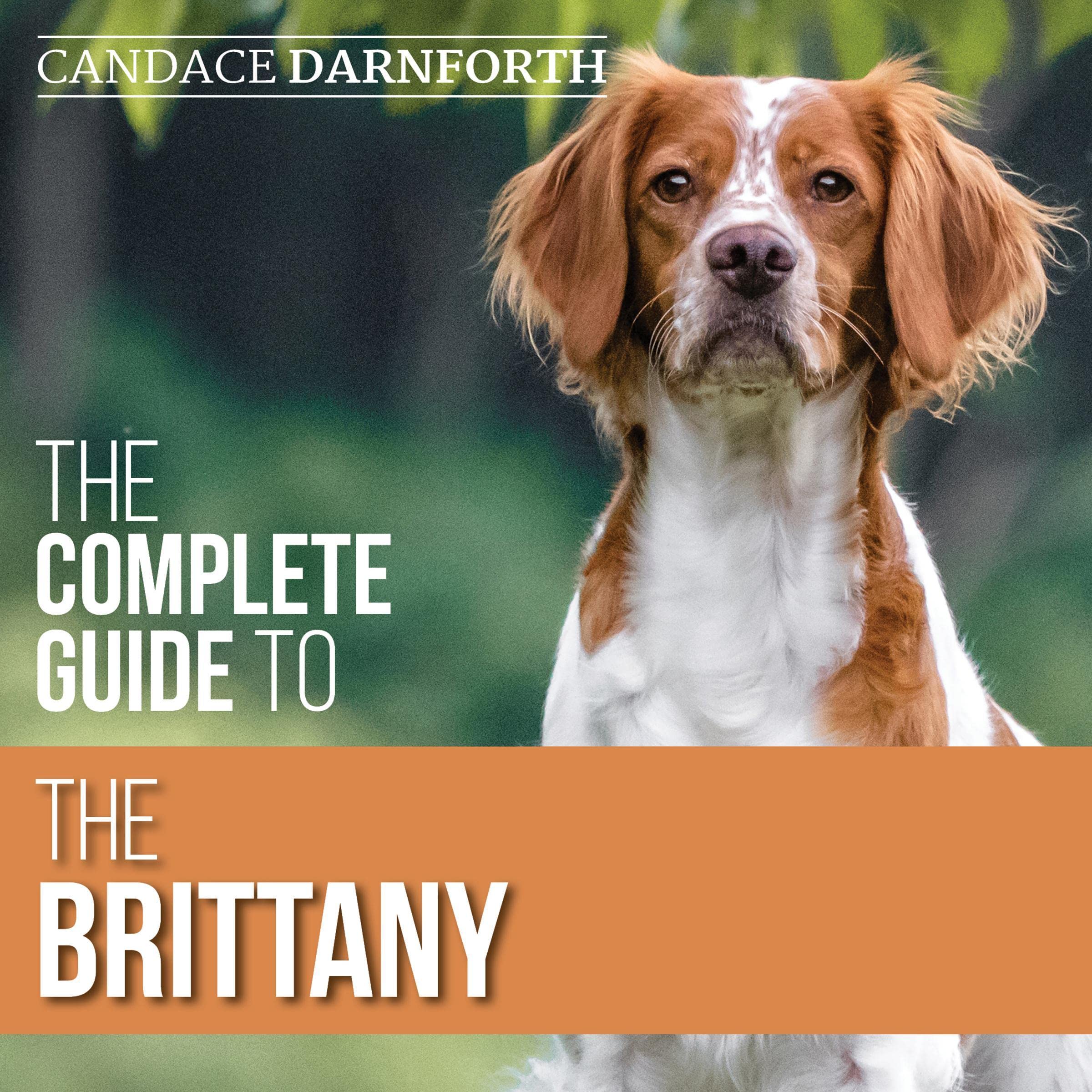The Complete Guide to the Brittany