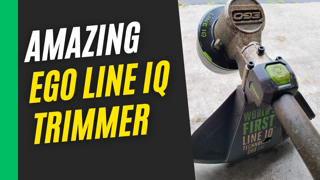 Ego Line Iq Animation Watch EGO Battery Powered Cordless Straight Shaft String Trimmer on ...
