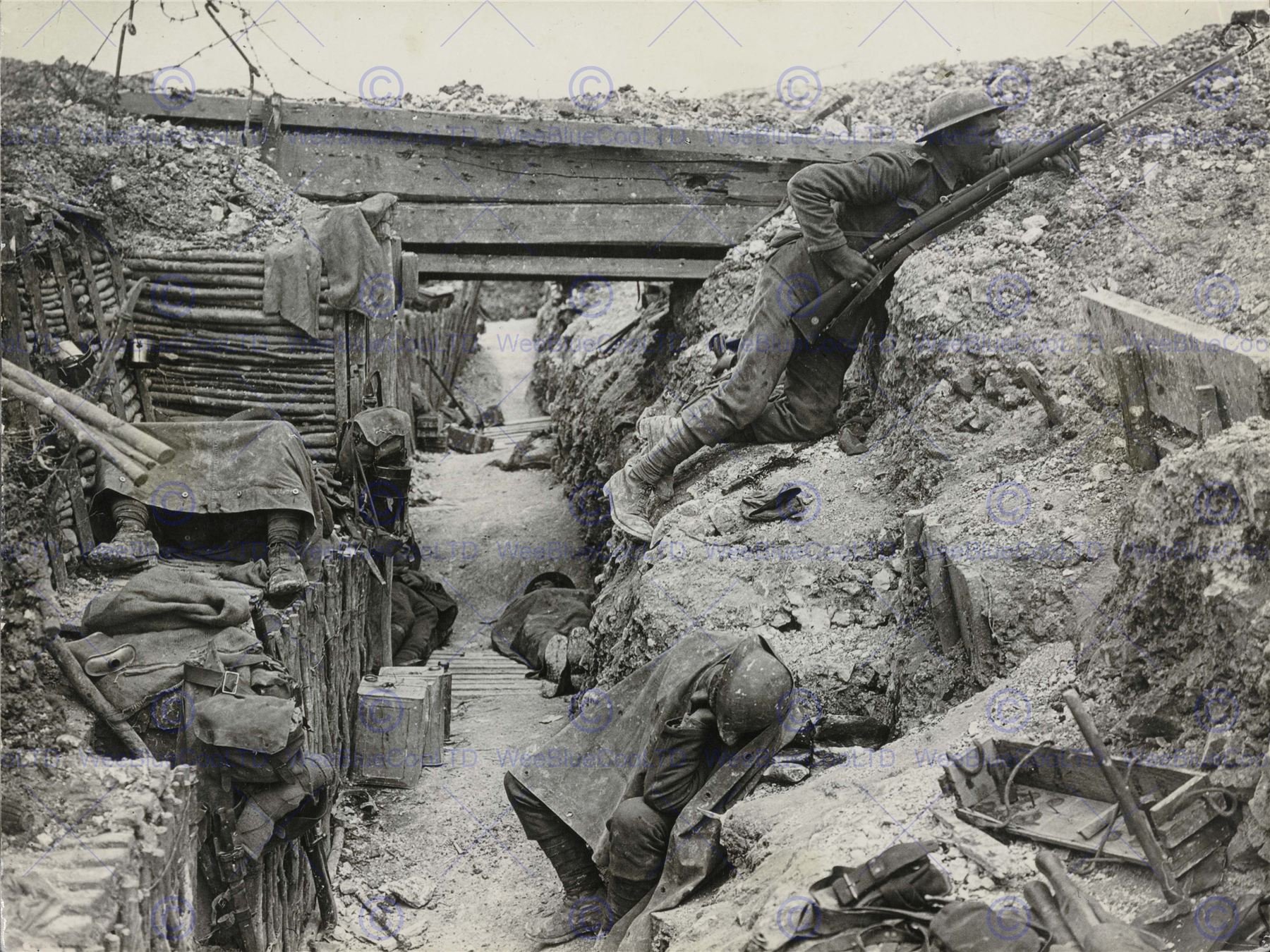 Wee Blue Coo War Photo Vintage Great Wwi Trench Life Western Front Wall Art Print