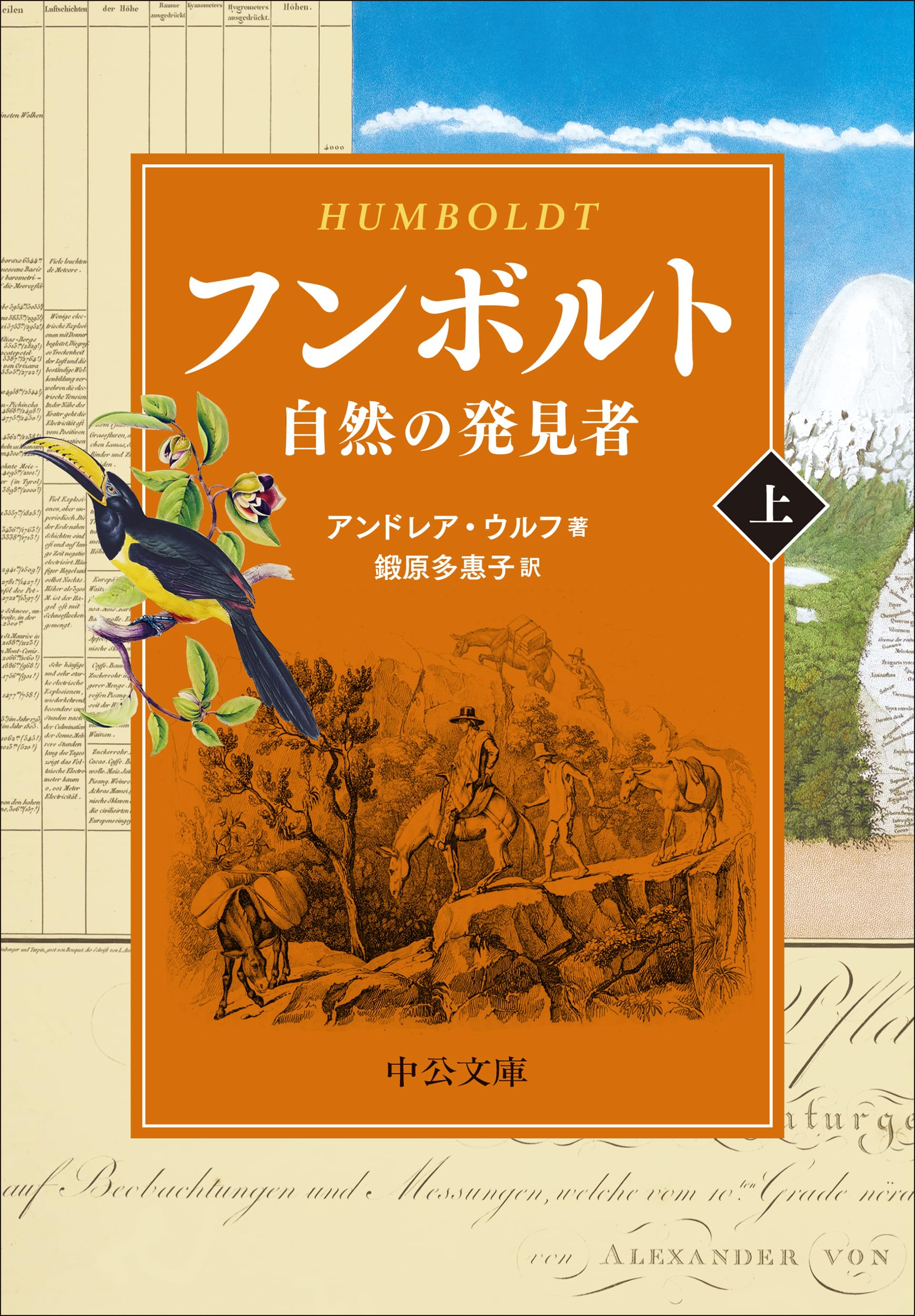 Amazon.co.jp: フンボルト（上）-自然の発見者 (中公文庫 ウ 13-1
