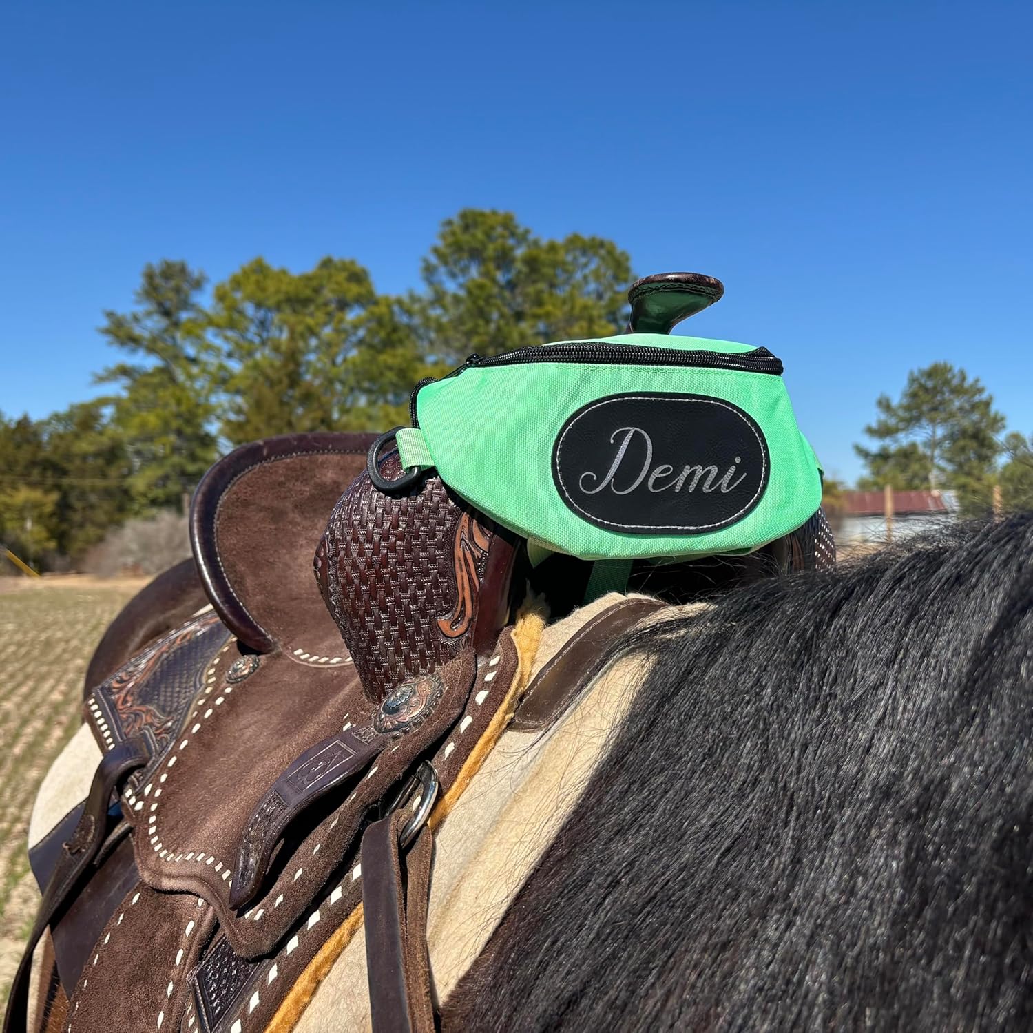 Personalized Horse Saddle Bag, Green Saddle Pommel Bag, Horse Tack, Horse Gifts, Horse Stuff, Equestrian Gifts, Saddle Accessories