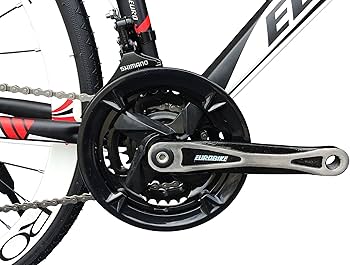 Amazon | EUROBIKE(ユーロバイク) XC550-15 700x28C デザイン性の高い