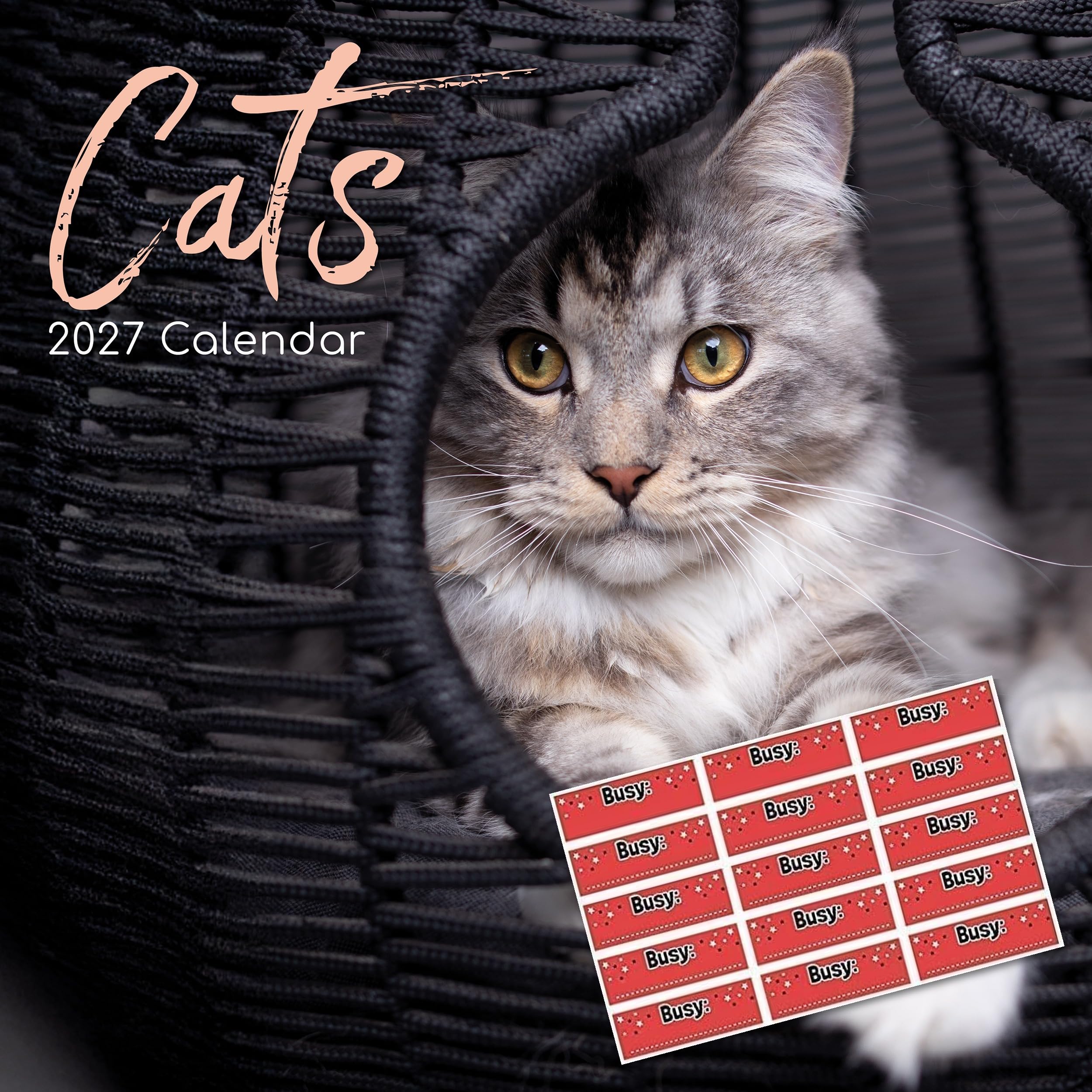 TGSC | Cats 2027 Calendar with Planner Stickers | Home & Office Organiser