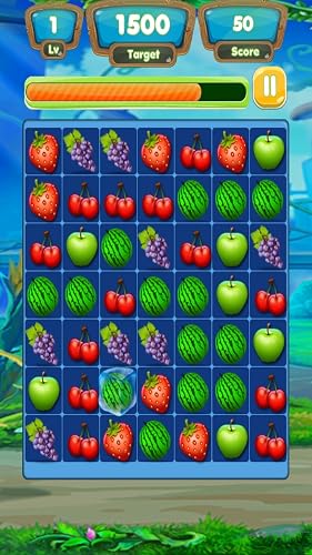 Fruit Link Blash – vue 4