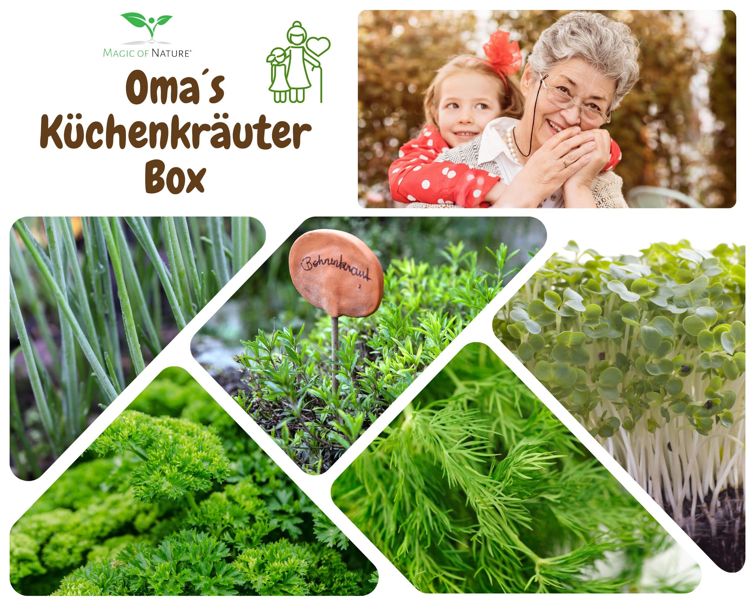 Magic of Nature Oma`s pudełko na zioła kuchenne – zestaw do uprawy – 5 rodzajów świeżych ziół BIO – do samodzielnej uprawy lub na prezent