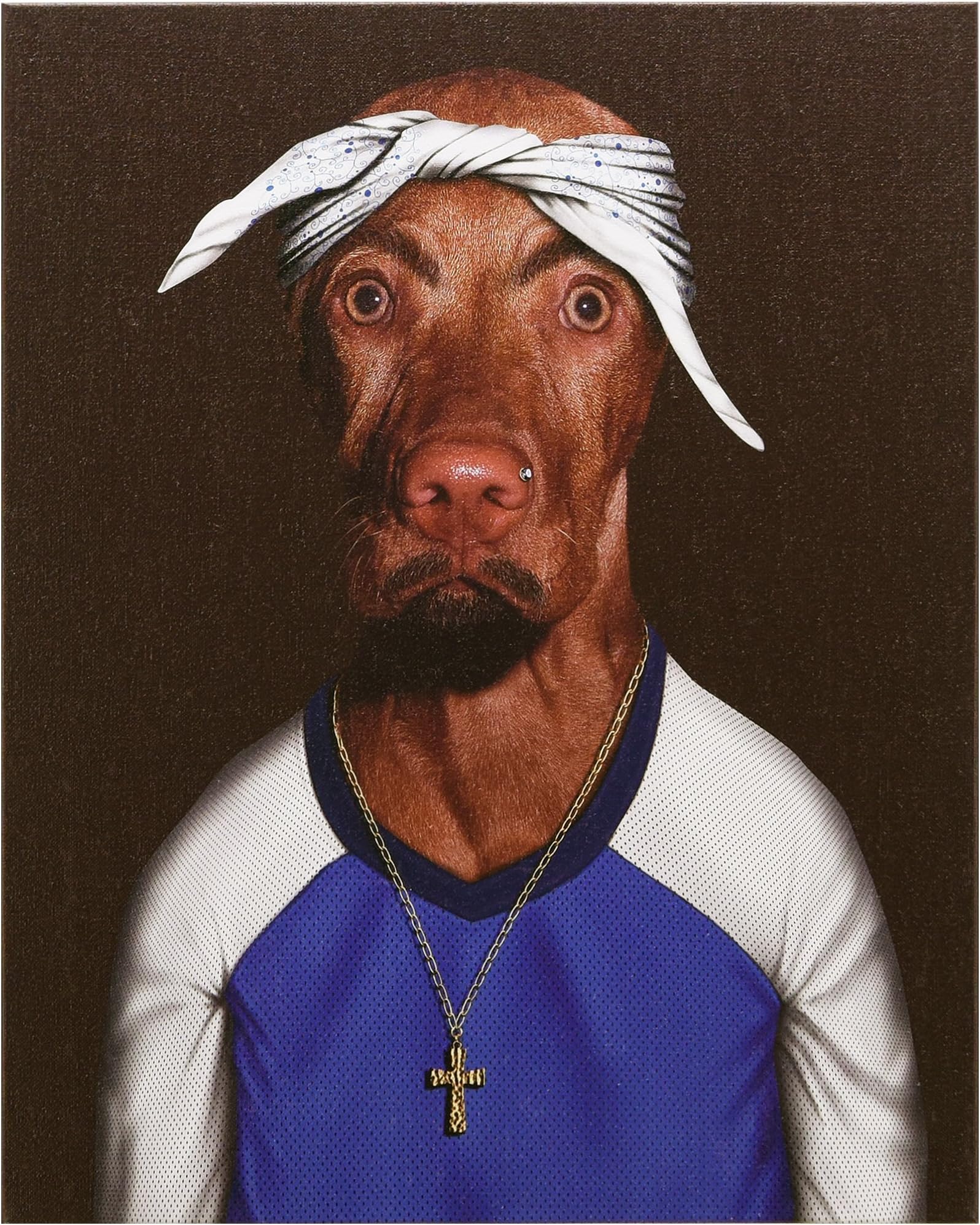 Empire Art Direct Pets Rock Two Rap Graphic Wrapped Dog Canvas Wall Art, 20" x 16" x 2", Ready to Hang