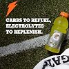 Gatorade Thirst Quencher Sports Drink Bottles - Fierce Grape - 20 oz - Electrolytes for Rehydration (Pack of 12)