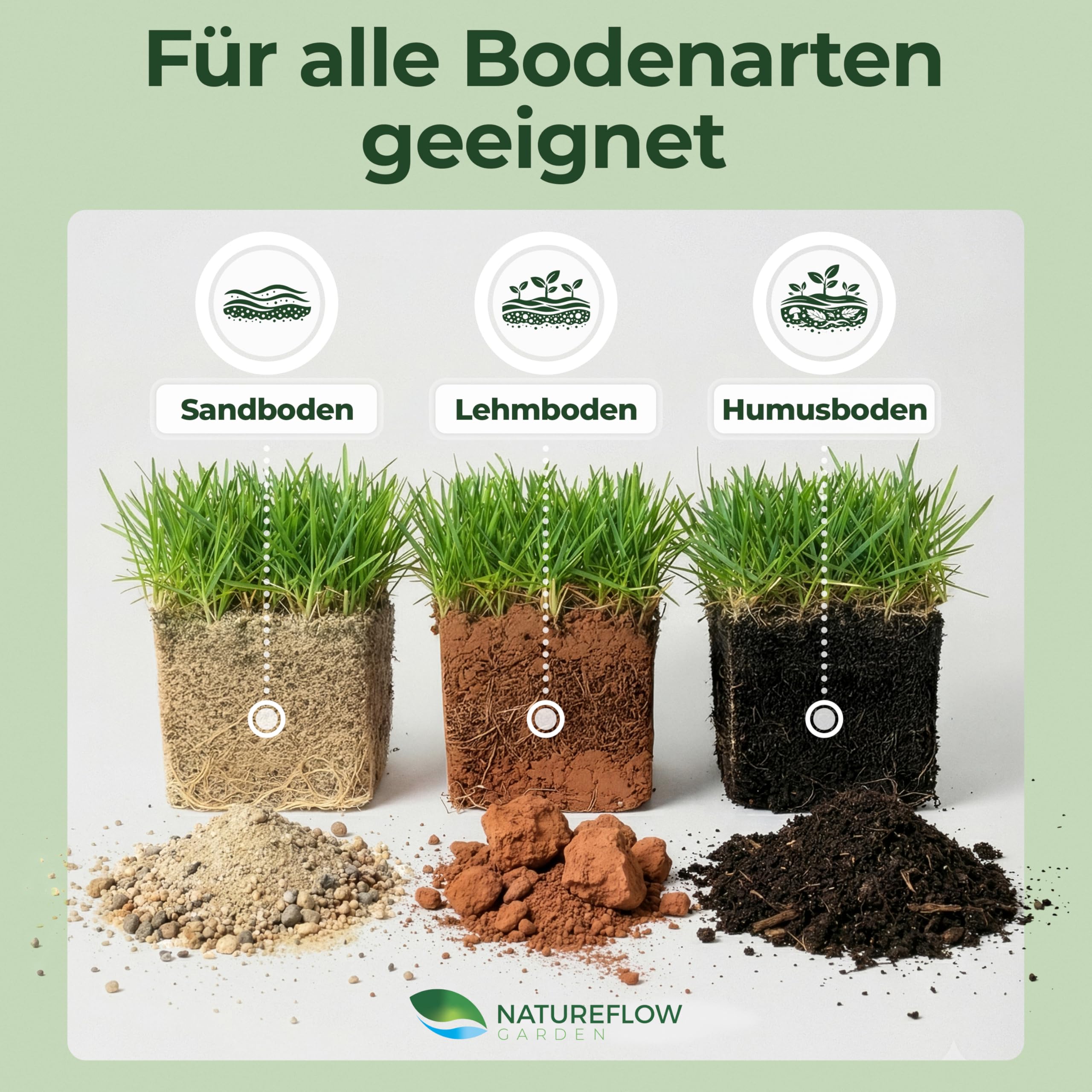 Schattenrasen Rasensamen 1 kg – Rasen für schattige Flächen & wenig Sonne – robuste Grasmischung für dichten Schattenrasen – ideal für Nachsaat & Neuanlage – für bis zu ca. 40 m² Rasenfläche