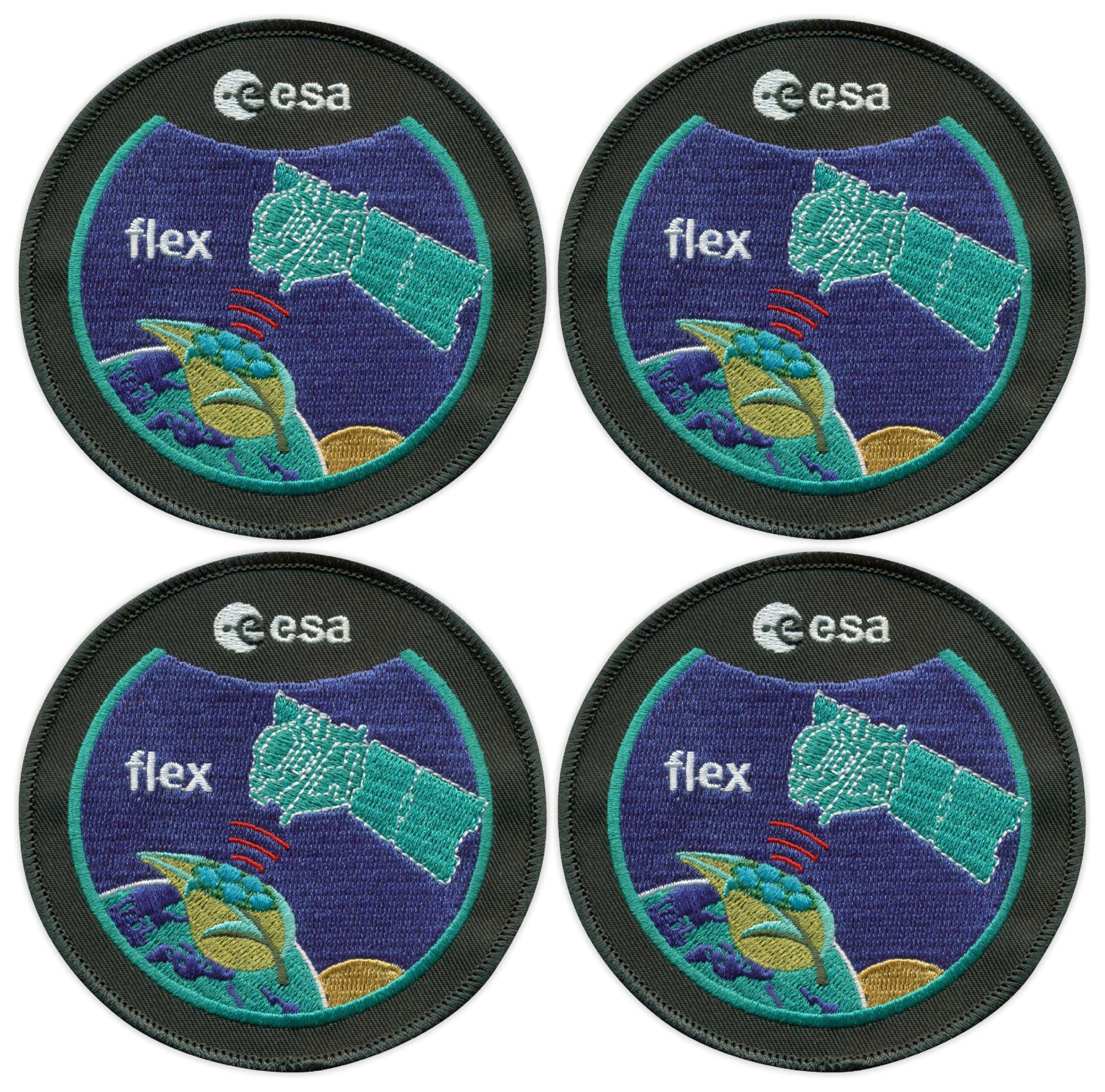 Set di 4 toppe termoadesive con retro termoadesivo Flex, termoadesivo ESA, ricamate