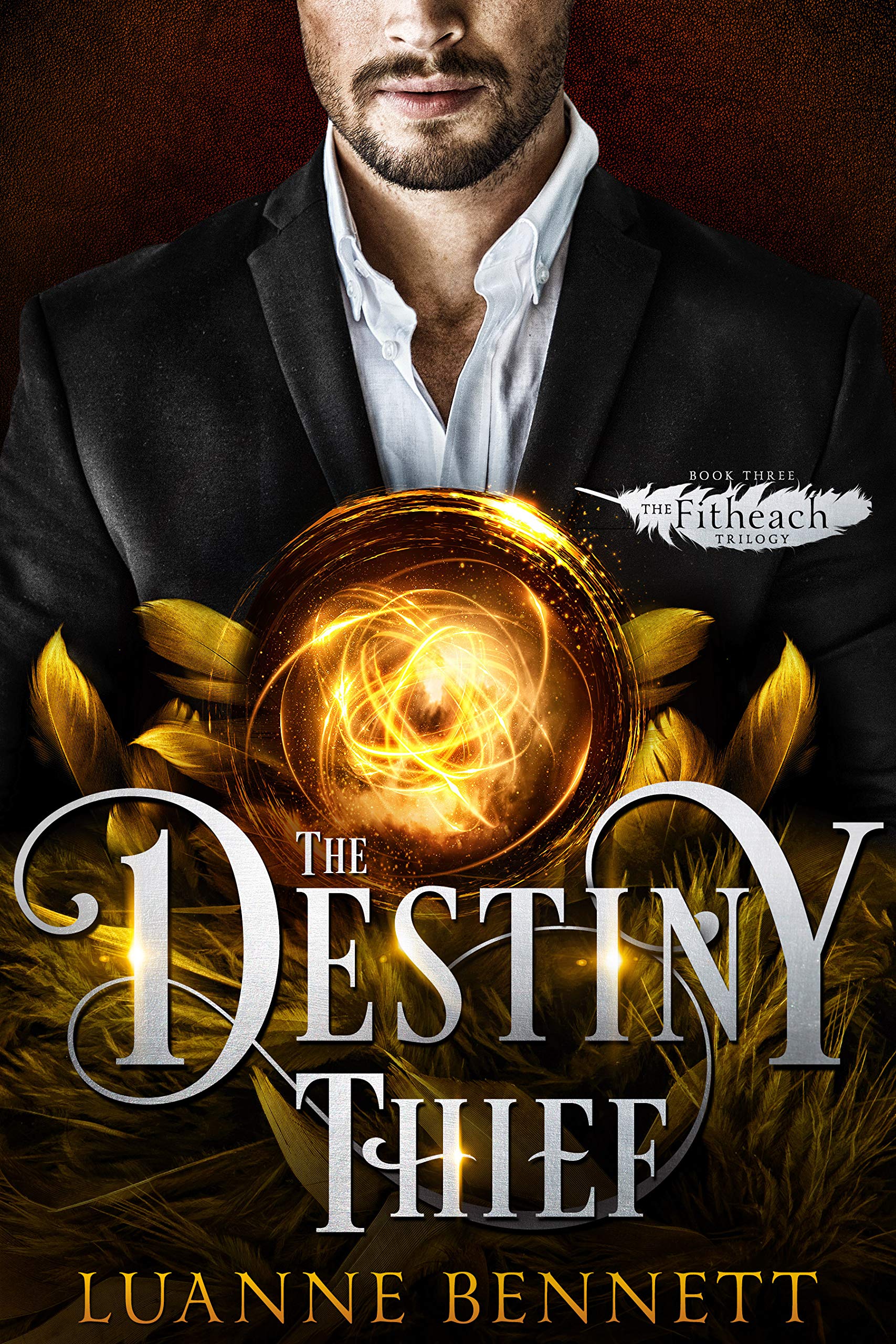 Cover of The Destiny Thief