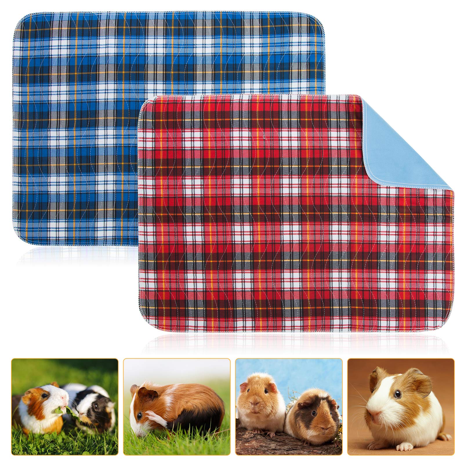 guinea pig absorbent bedding