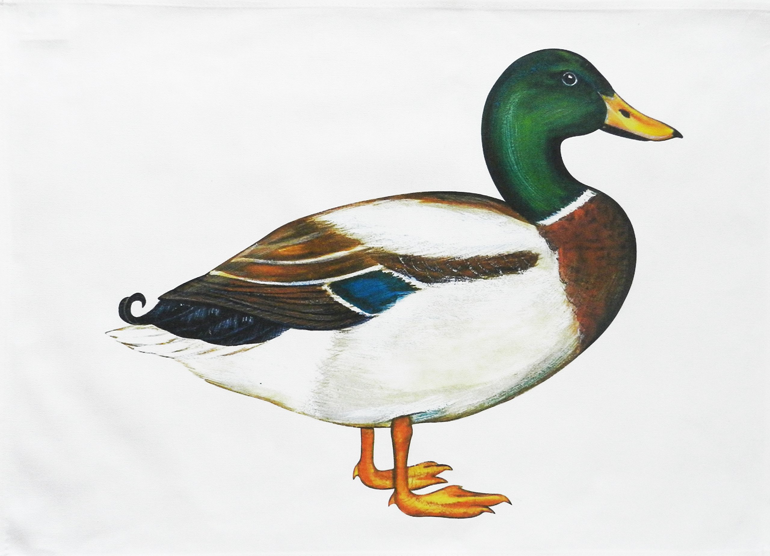 Half a Donkey The Mallard - Large Cotton Tea Towel