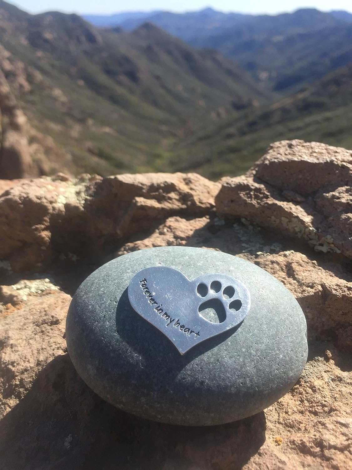 Comforting Dog Memorial Gift - Sympathy or Condolence Gift for Loss of Pet - Forever in My Heart Stone by Whitney Howard Designs