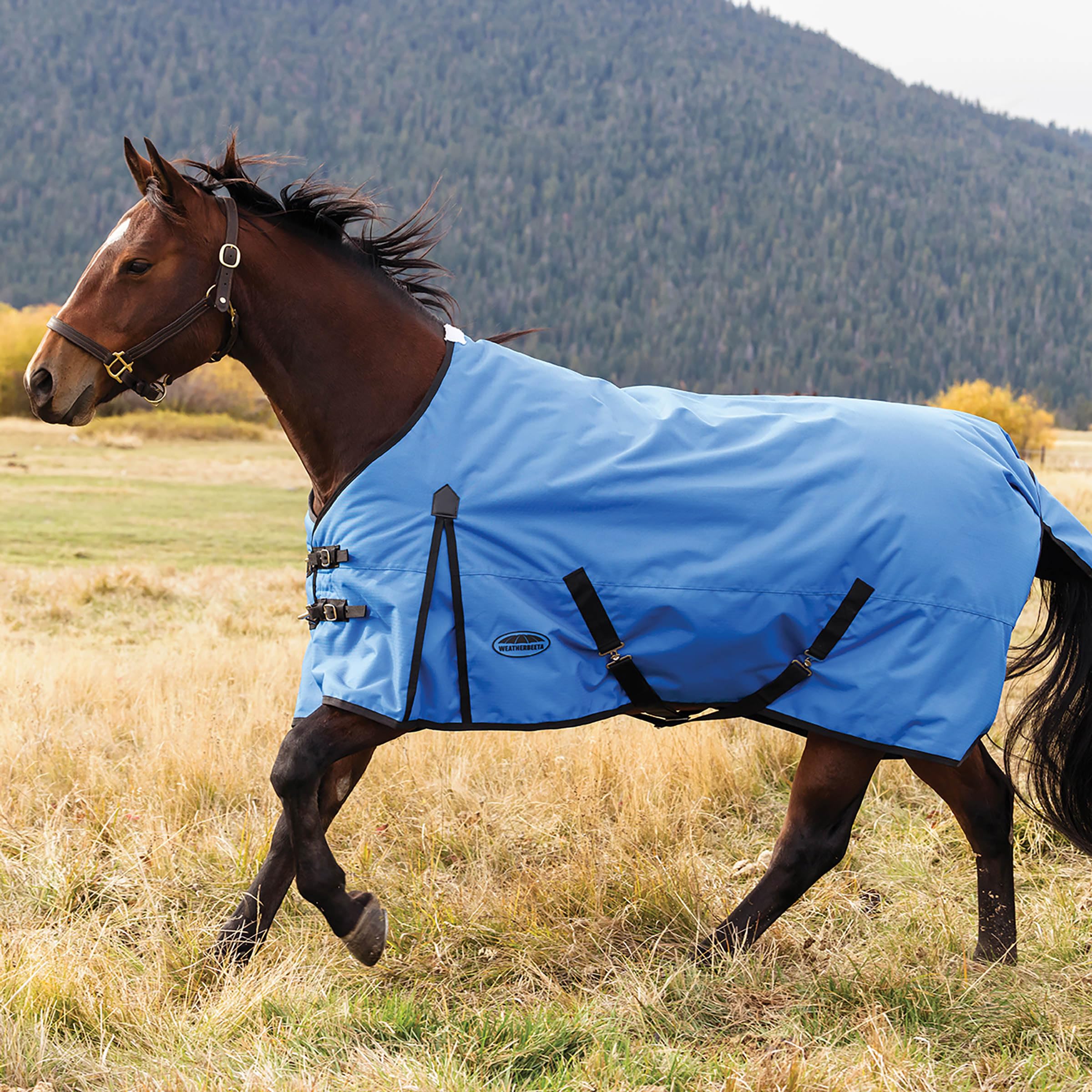 WeatherBeeta ComFiTec Original Standard Neck Medium, Royal Blue/Black, 190,5 cm