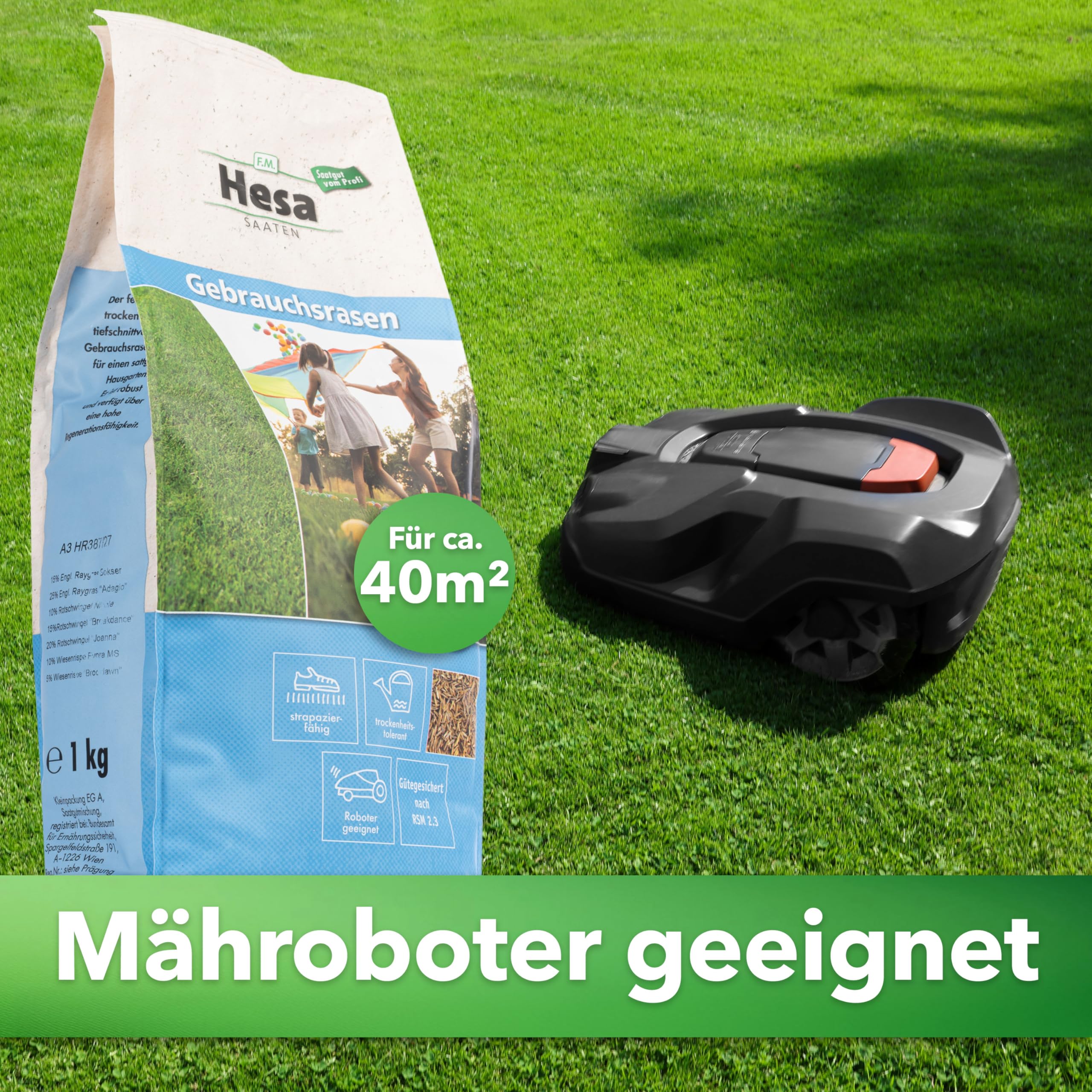 Hesa Gebrauchsrasen 1 kg für 40 m², RSM 2.3, schnellkeimende Premium Rasensamen Sport- und Spielrasen, Grassamen strapazierfähig und robust in Profiqualität