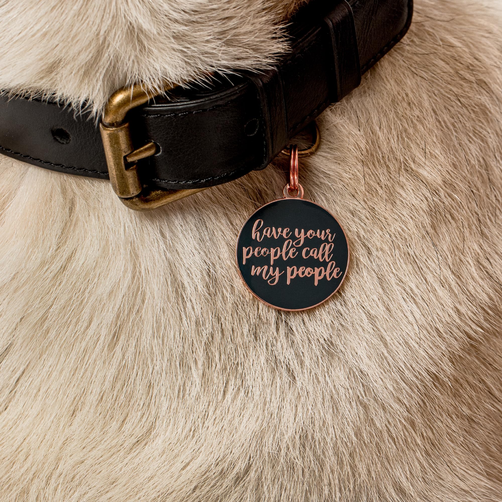 Amazon.com : Two Tails Pet Company Personalized Dog Tags “Have