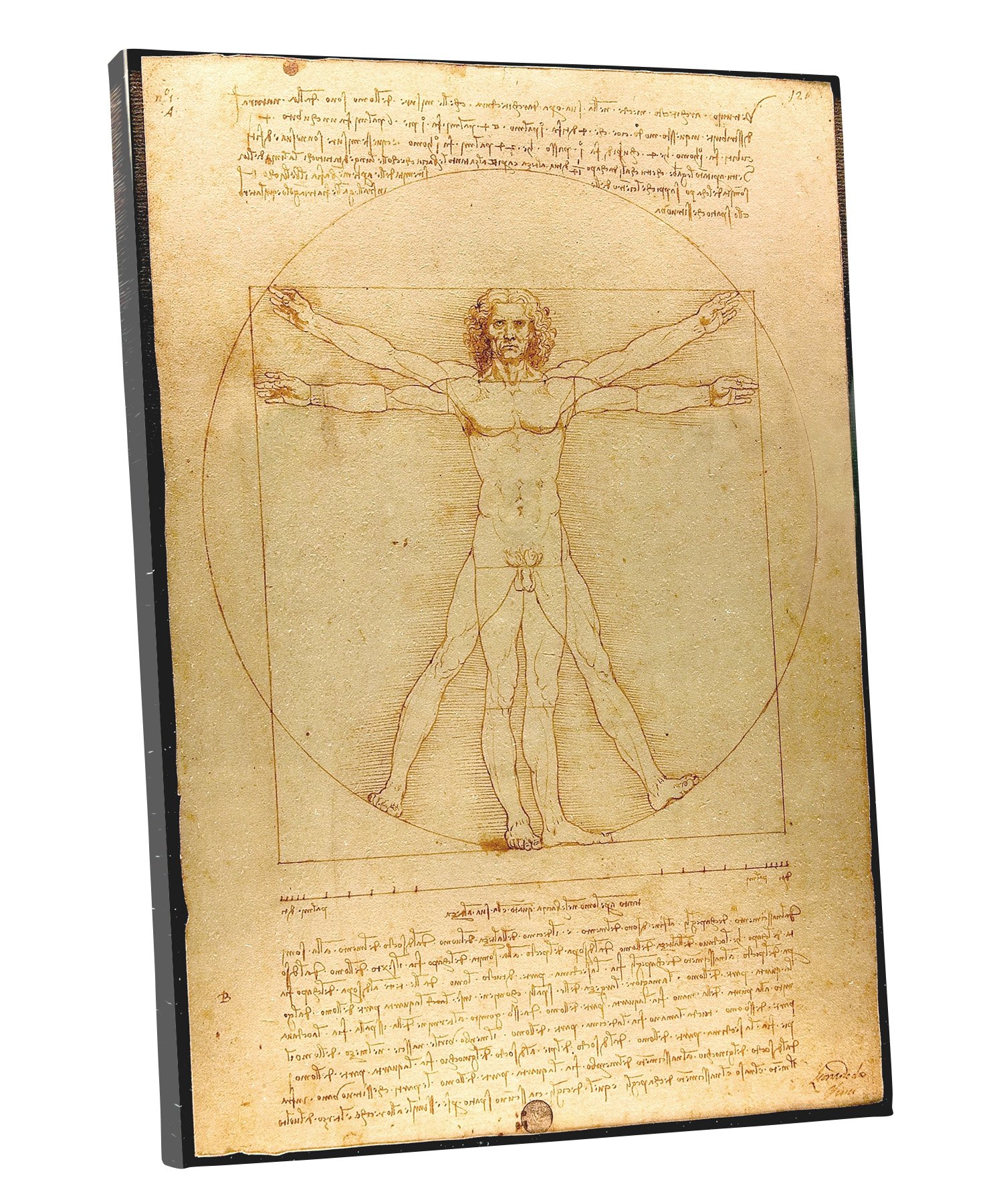Niwo ART - Vitruvian Man, by Leonardo DaVinci, Oil painting Reproduction - Giclee Wall Art for Home Decor, Gallery Wrapped, Stretched, Framed Ready to Hang (18"x12"x3/4")
