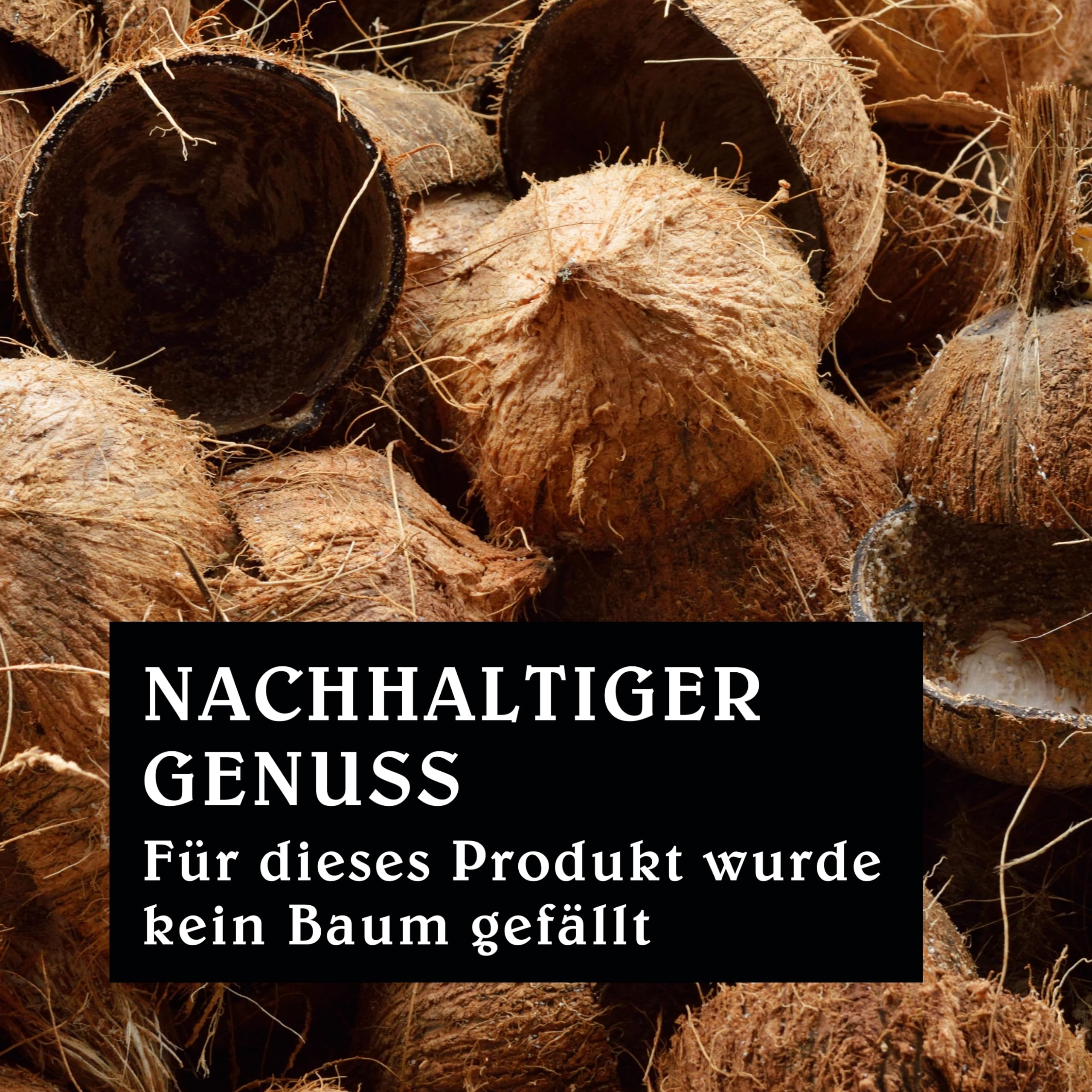 Kokosnuss Kohle Cubes 40x40mm 6kg I Kohlewürfel mit Zugloch I Nachhaltige Naturkohle mit Langer Brenndauer & wenig Asche I Grillkohle mit geringer Rauchentwicklung