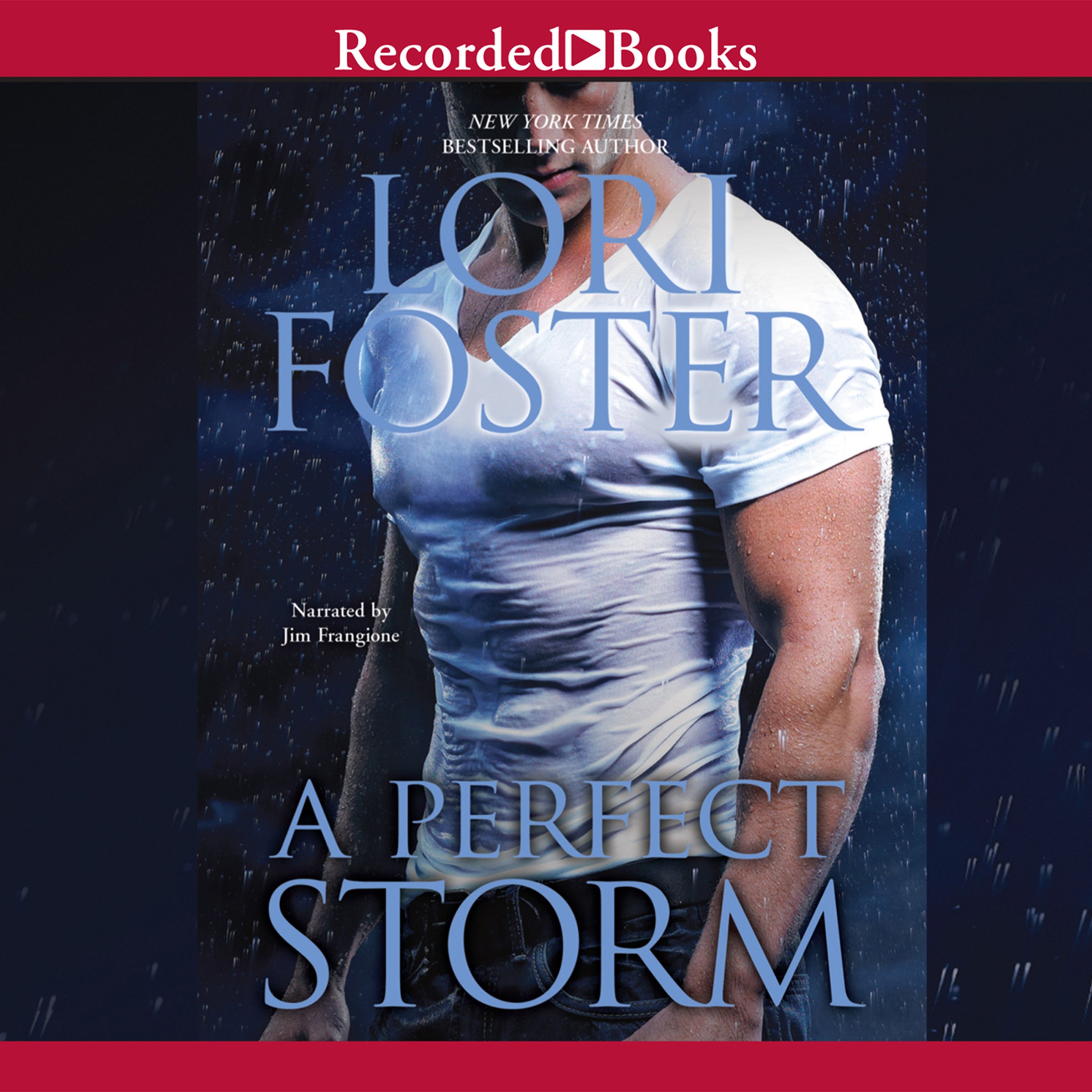 Cover art for A Perfect Storm