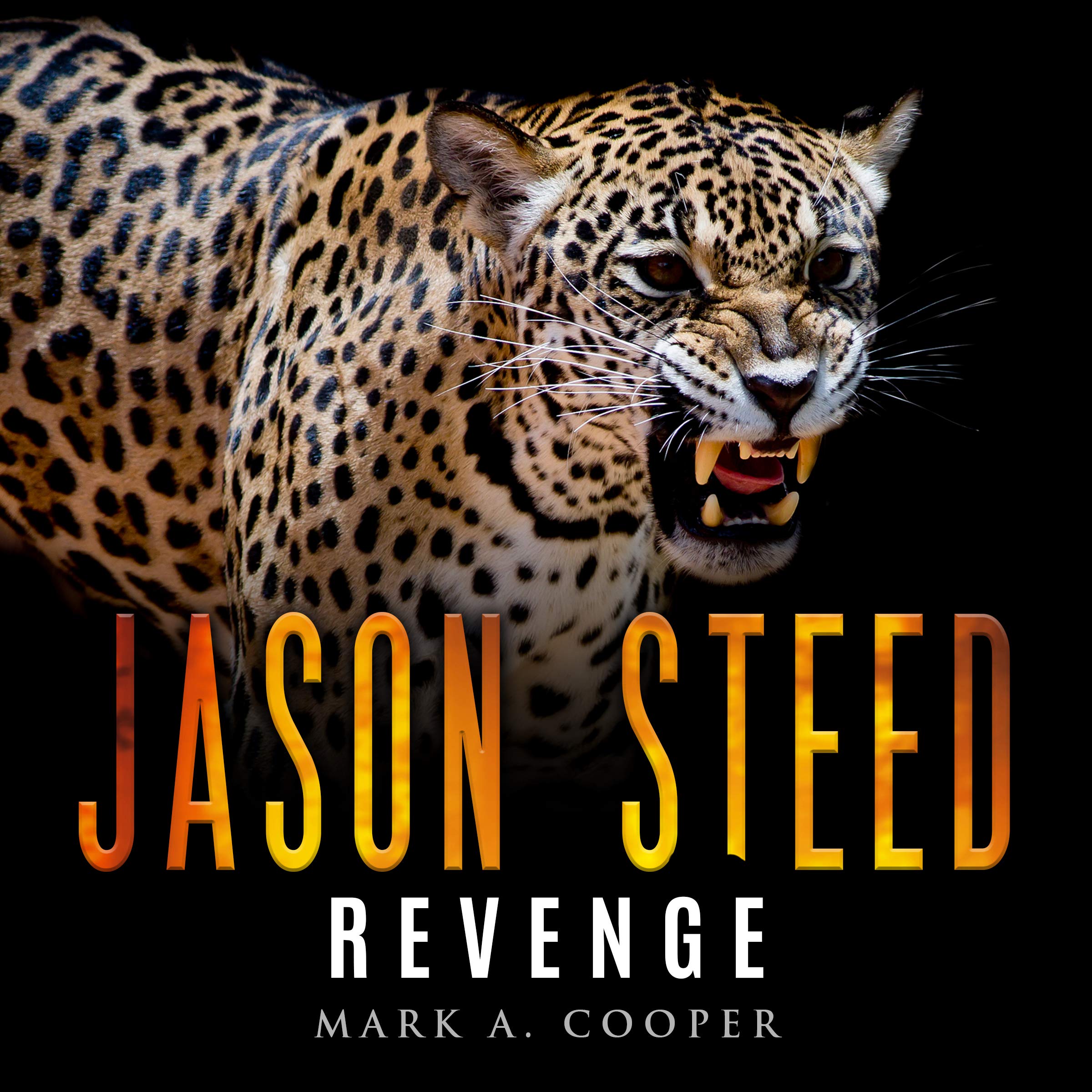 Revenge: Jason Steed