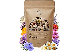 Organo Republic Non-GMO Heirloom Wildflower Seeds Mix