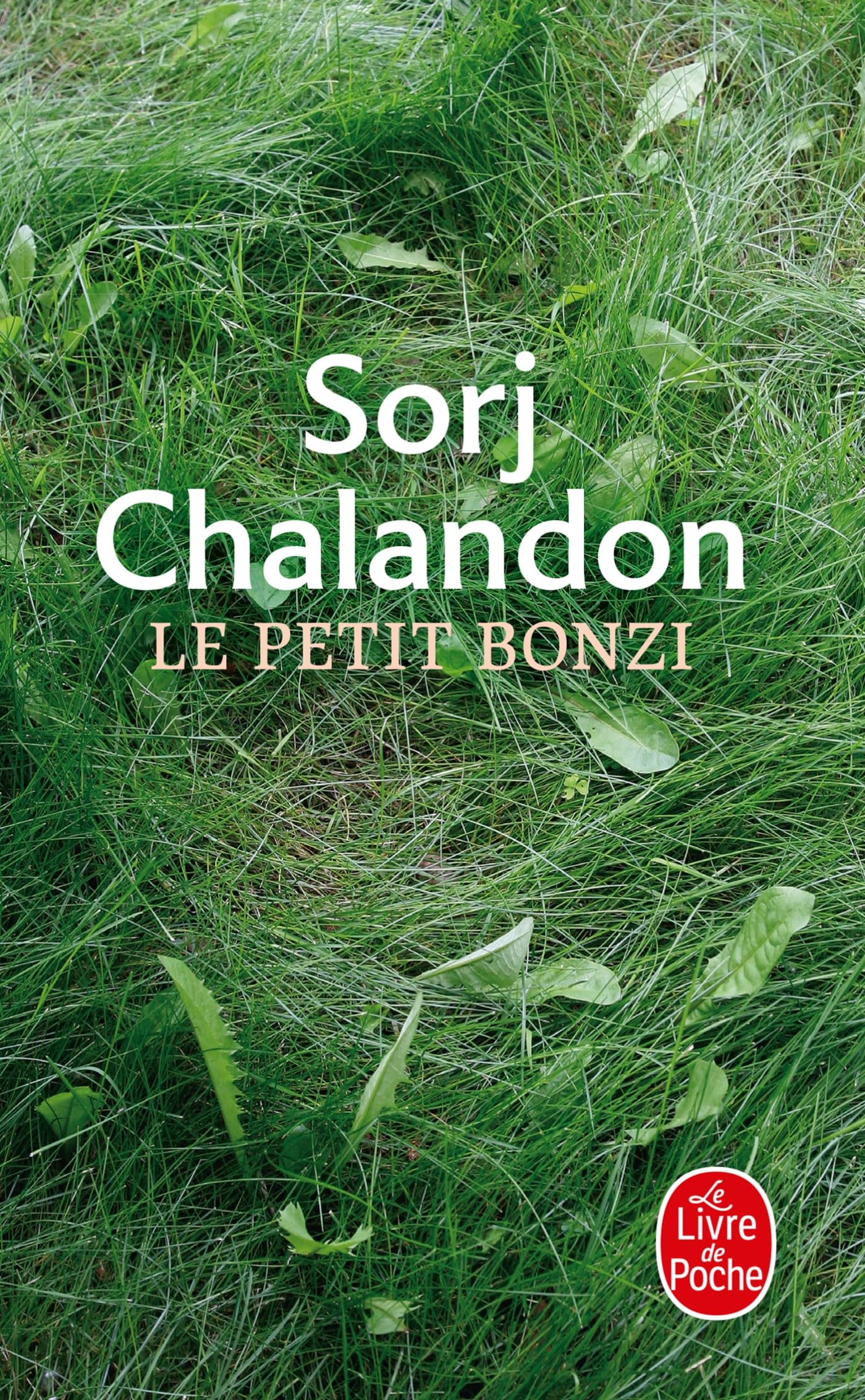 Le Petit Bonzi (Ldp Litterature)