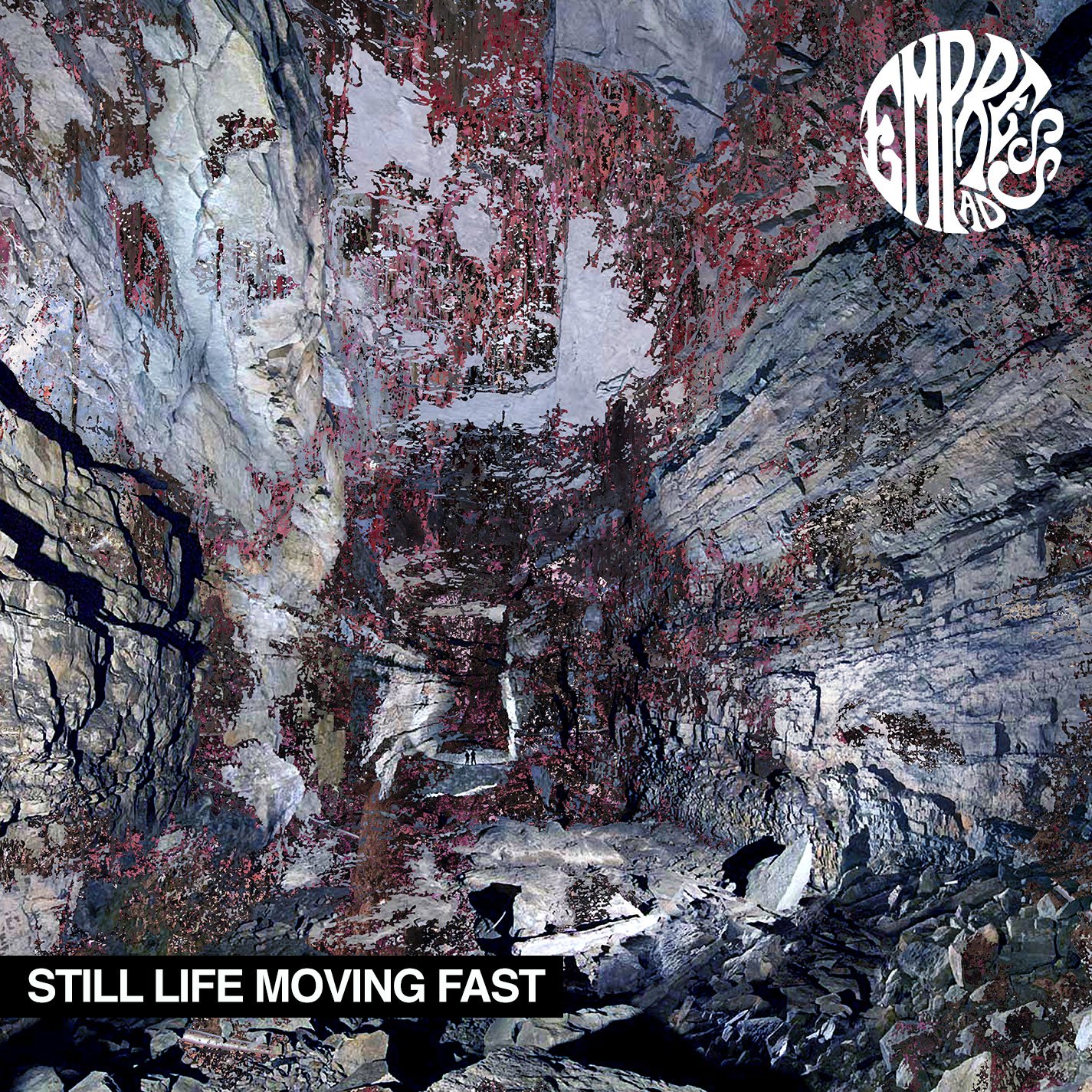 Empress Ad - Still Life Moving Fast CD Album - Used