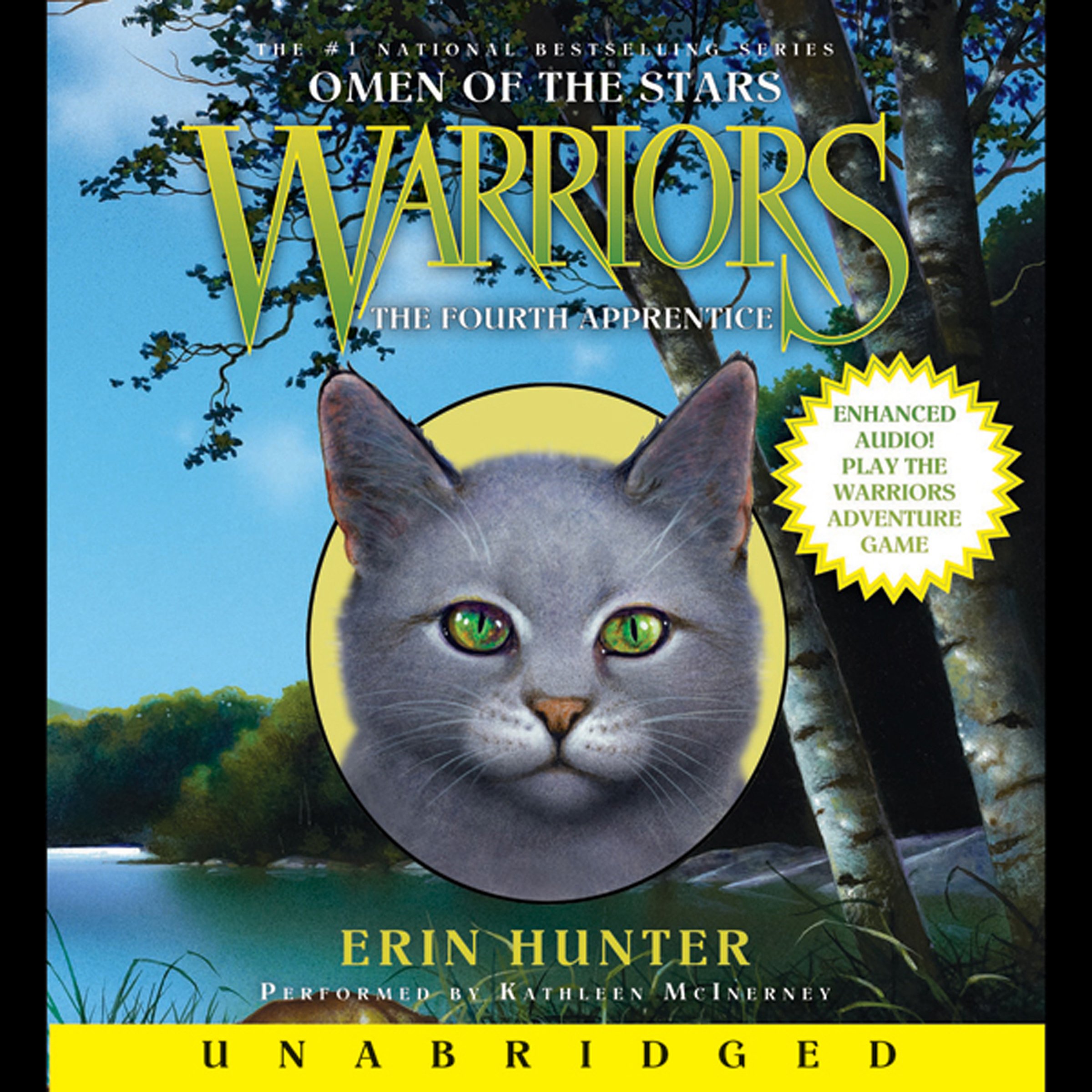 Cover art for The Fourth Apprentice