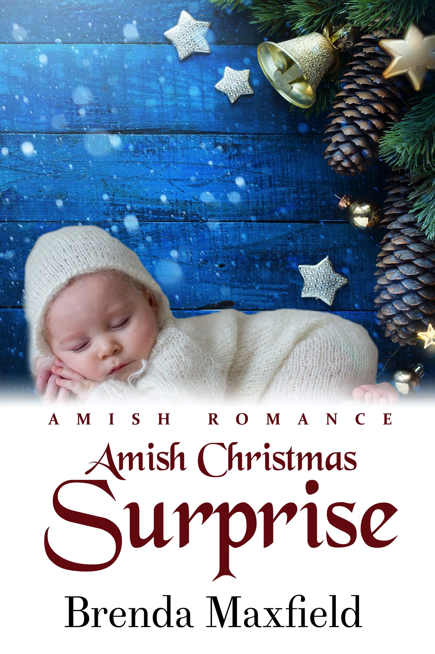 Amish Christmas Surprise