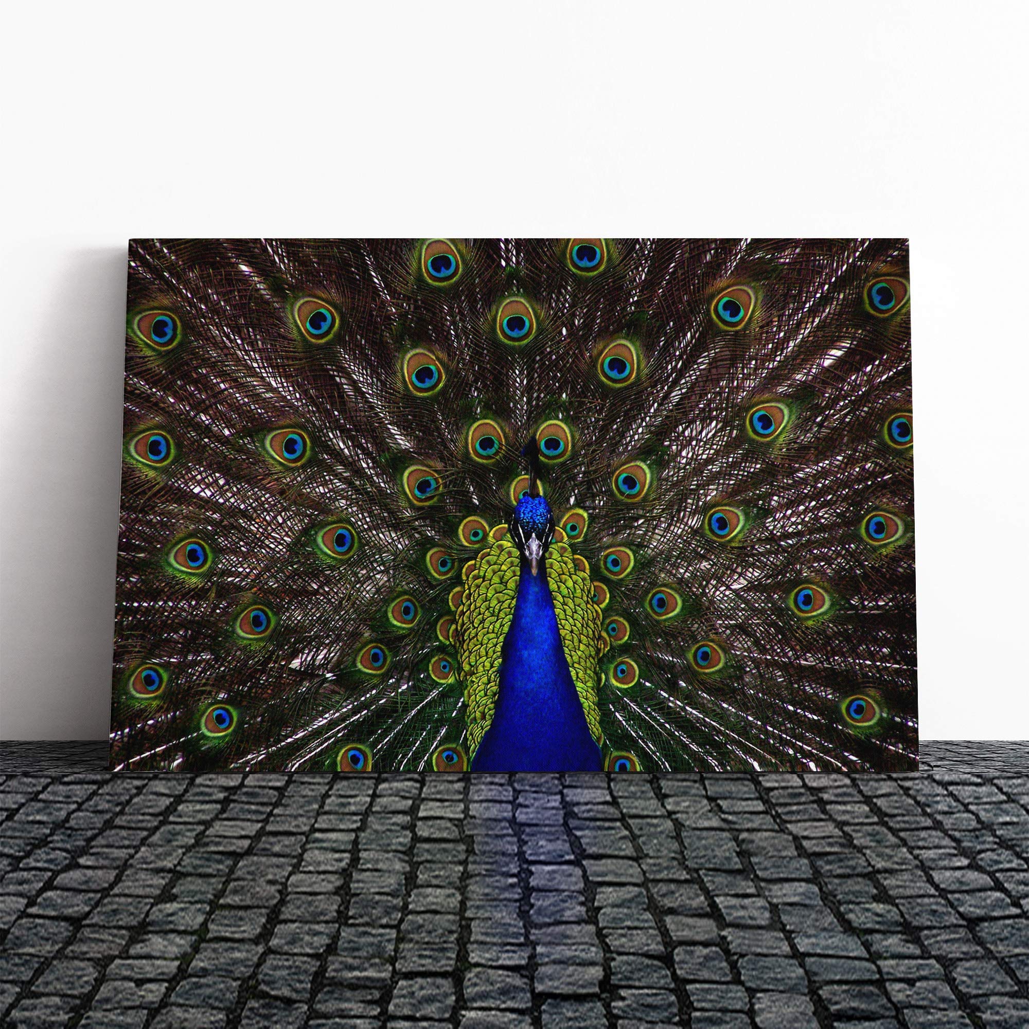 Peacock Canvas Print | Gallery Wrapped 30mm Frame Wall Art | 24x16 inches | Ready to Hang | Modern Picture | Living Room Bedroom Lounge Office