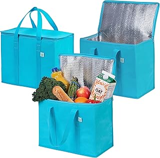 instacart insulated bags cost