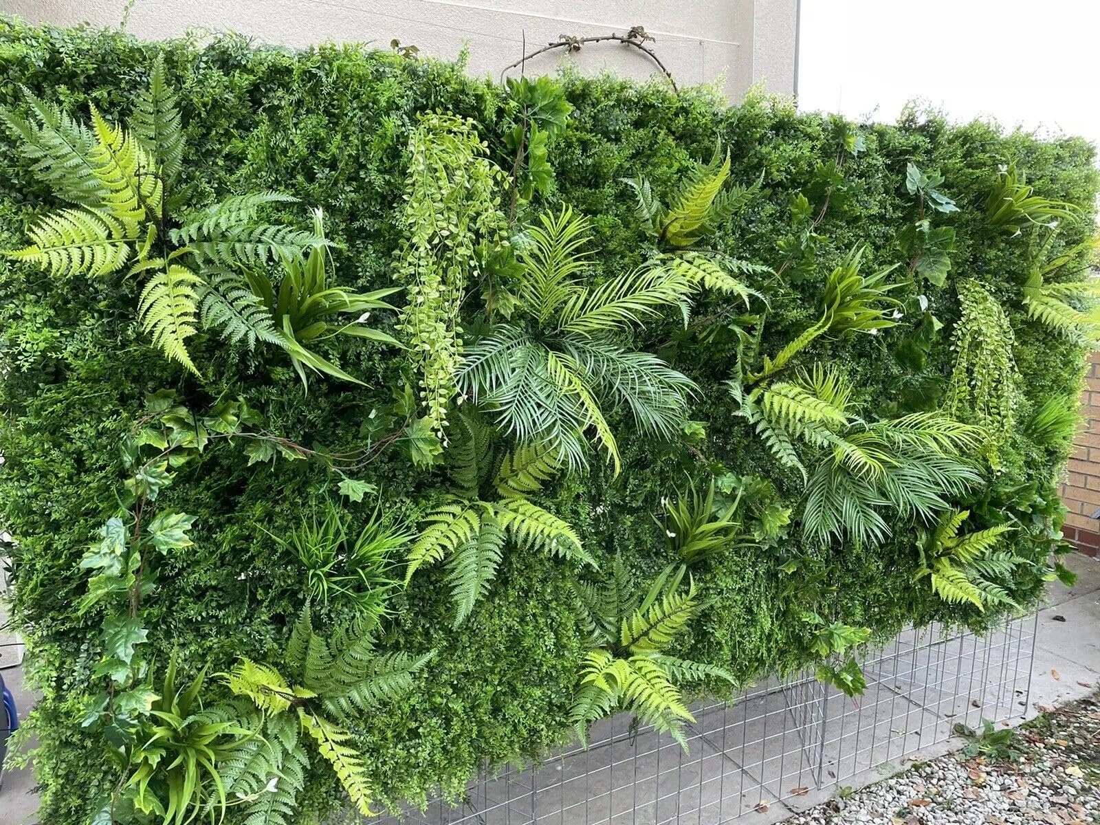 Artificial Green Wall,Dense Foliage Panels for Living Walls, Plant Walls (50cm (High) x 100cm (Wide))