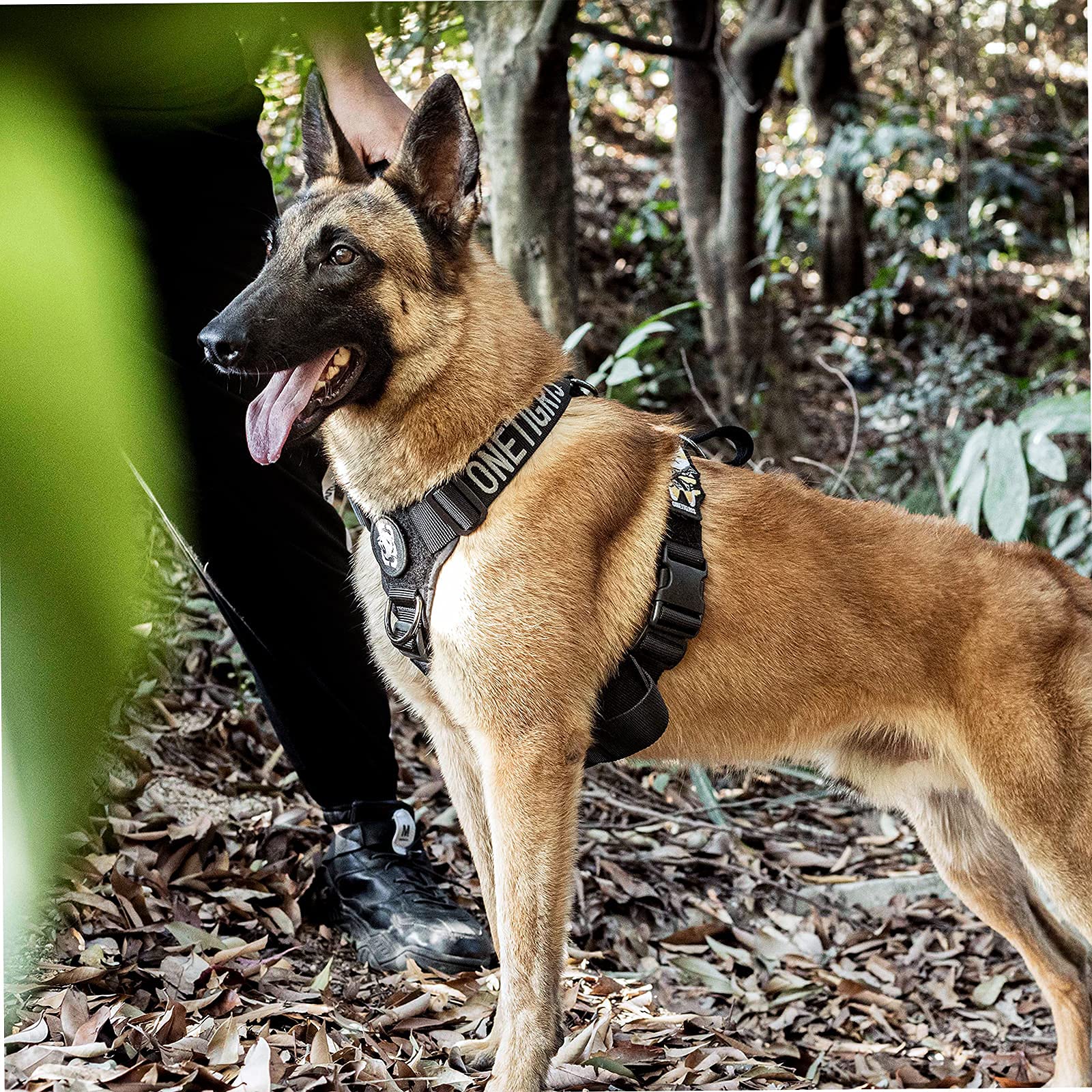 OneTigris - Arnés táctico Ajustable sin tirón Goliath para Perros con Mango para Cachorros, Caza, Senderismo, Entrenamiento, Caminatas y Actividades al Aire Libre (Negro, L)