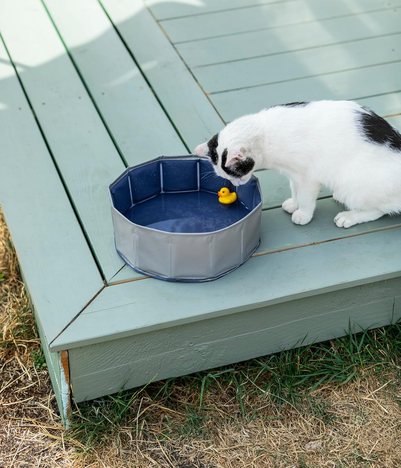 Dehner Lieblinge Water Games Cat Pool, Diameter 30 cm, Height 10 cm, Plastic, Grey/Blue