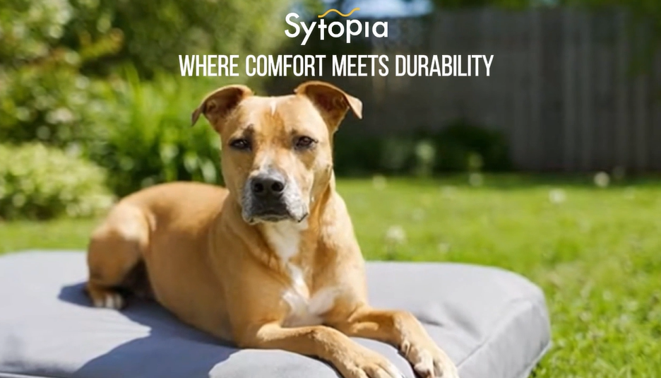 Sytopia 42'' Canvas Indestructible Outdoor Dog Bed with Waterproof Washable Removable Cover for Extra Large Dogs, Indoor and Patio Pet Pad, Yellow - image 8