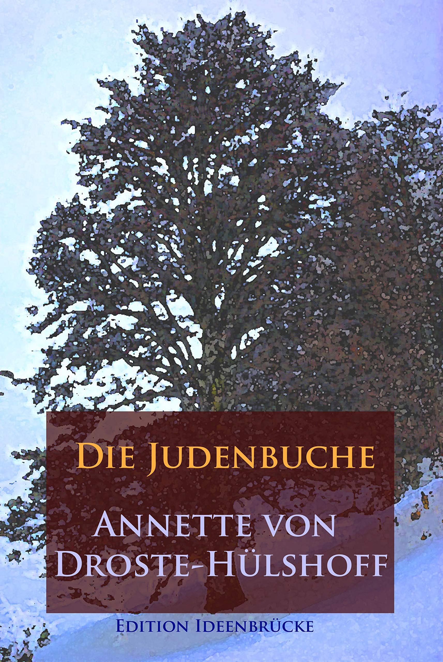 Die Judenbuche (German Edition)