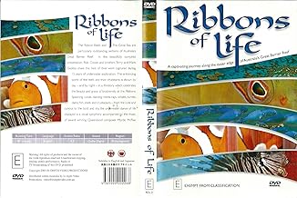 Ribbons of Life : Outer Edge of the Great Barrier Reef [All Regions] [Region 4]
