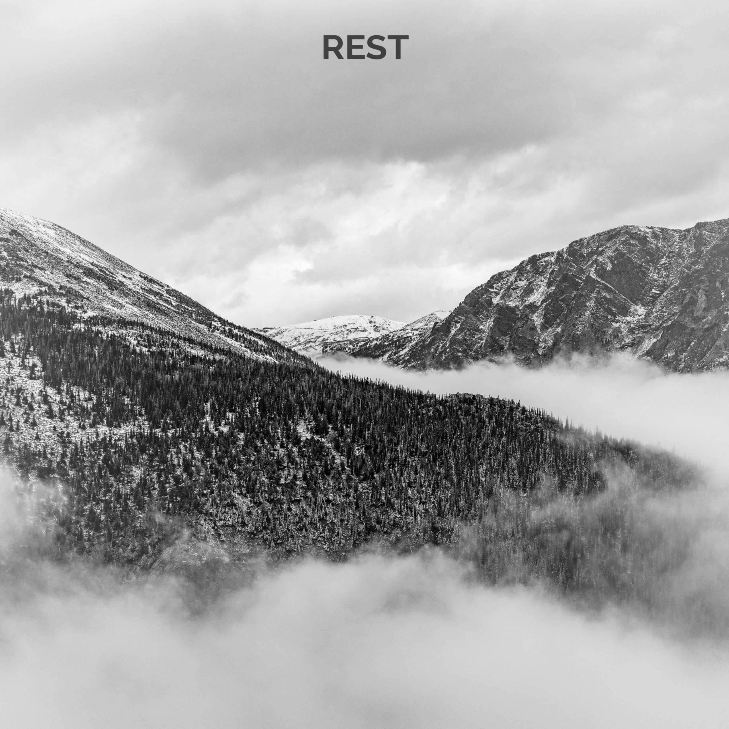 Out of the Wilderness