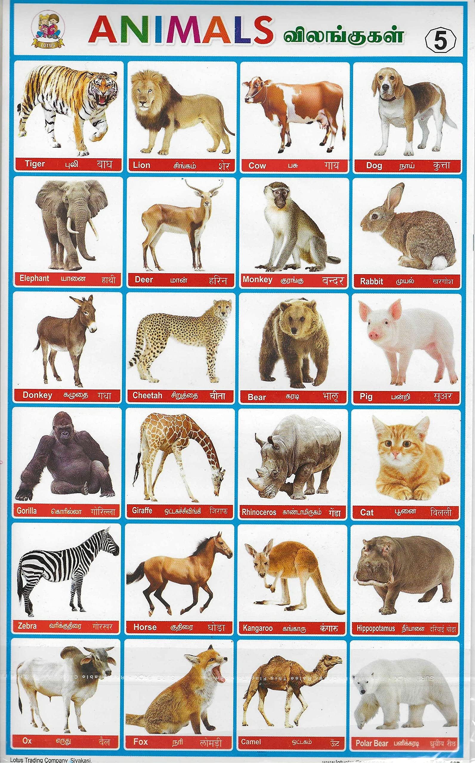 Animals Label Stickers for Kids School Project Work Includes Pack of 10 Sheets (Multi Color)