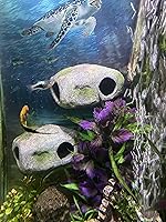 OrnaMounts Magnetic Rock Cave Aquarium Ornament - Secure Wall-Mounted Fish Hideout for Freshwater & Saltwater Tanks