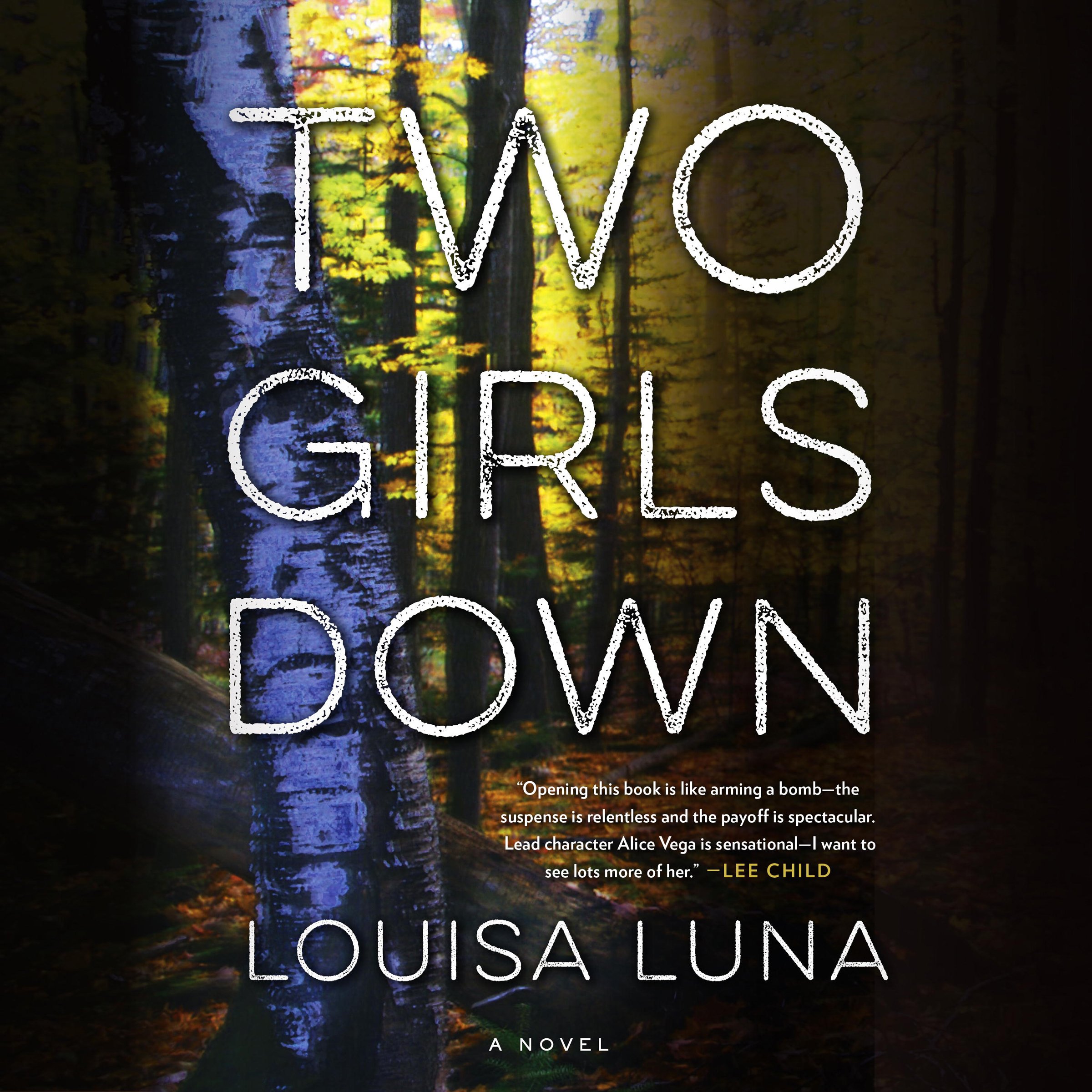Cover art for Two Girls Down