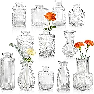BTSD-home 12 Stück Vasen Set für Blumen, Kleine Vasen für Tischdeko, Hochzeitsdekoration, Deko Wohnzimmer, rustikale Hochzeit Mittelstücke und Home Decor