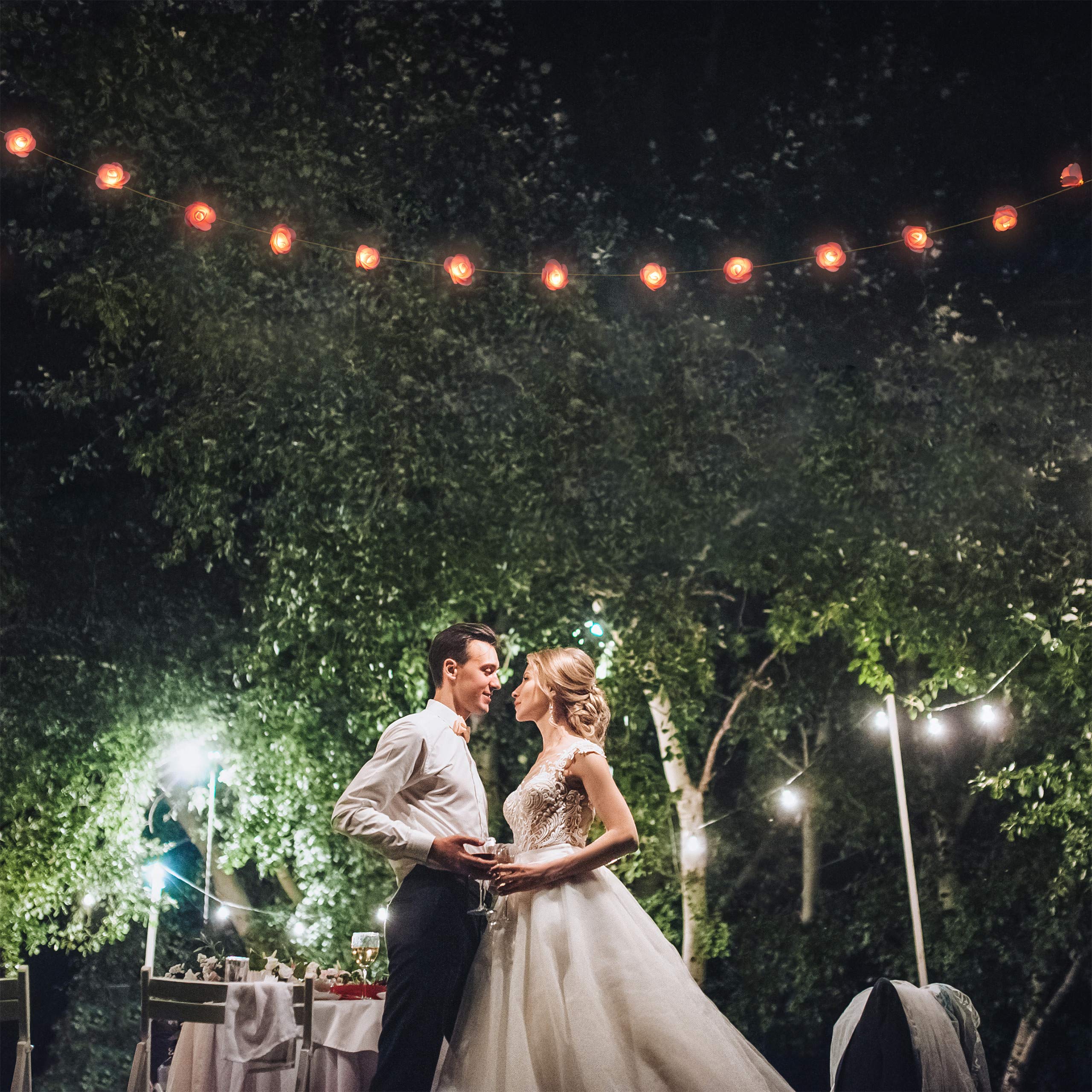 10 x Rosen Lichterkette, 20er LED Lichterkette Batterie, Hochzeit, Verlobung & Valentinstag, warmweiß, Deko, rosa