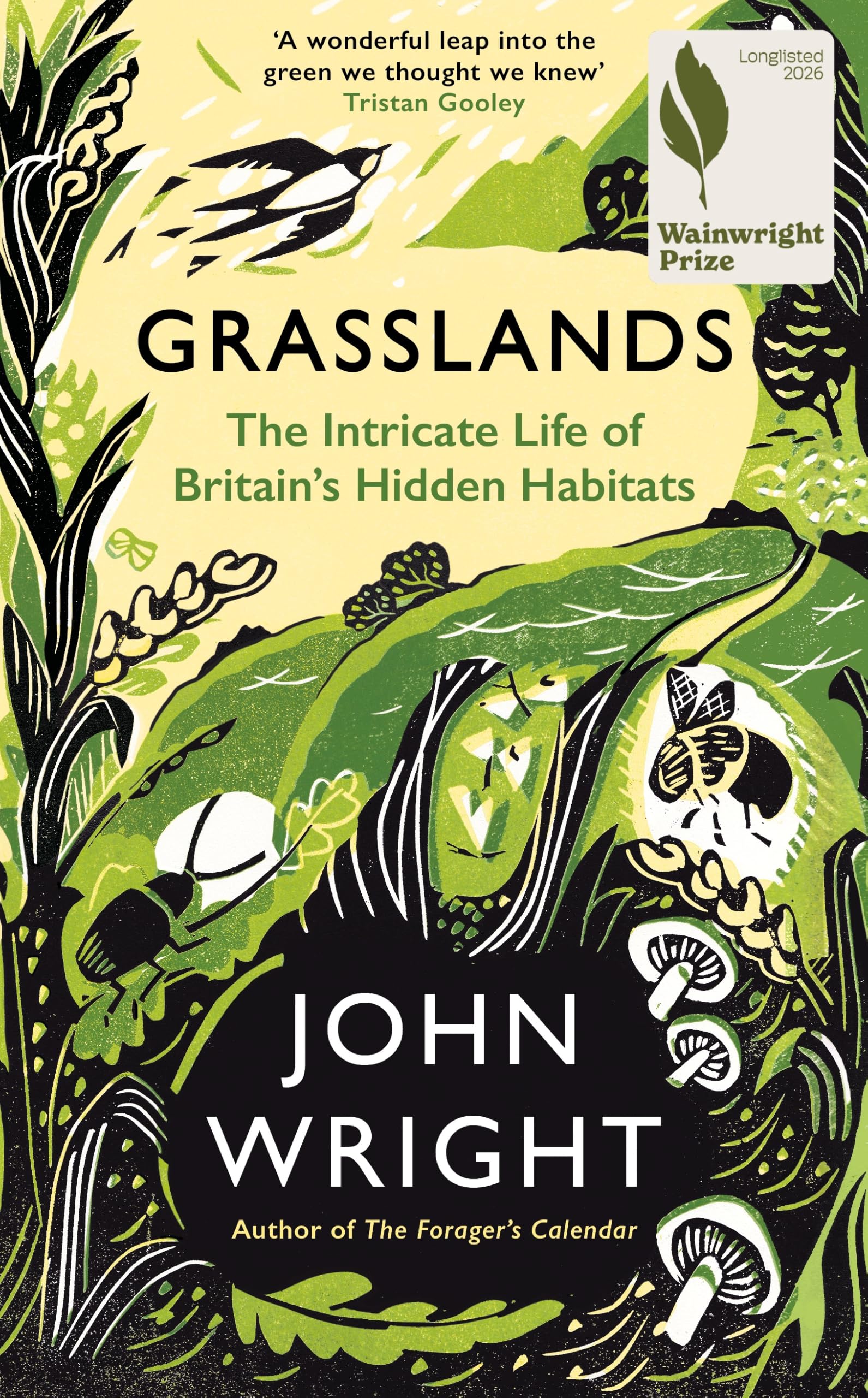 Grasslands: The Intricate Life of Britain's Hidden Habitats