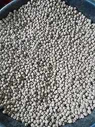 Ração para Peixe Grossa para Engorda 1kg Tilapia,Carpa,Tombaqui todas Espécies