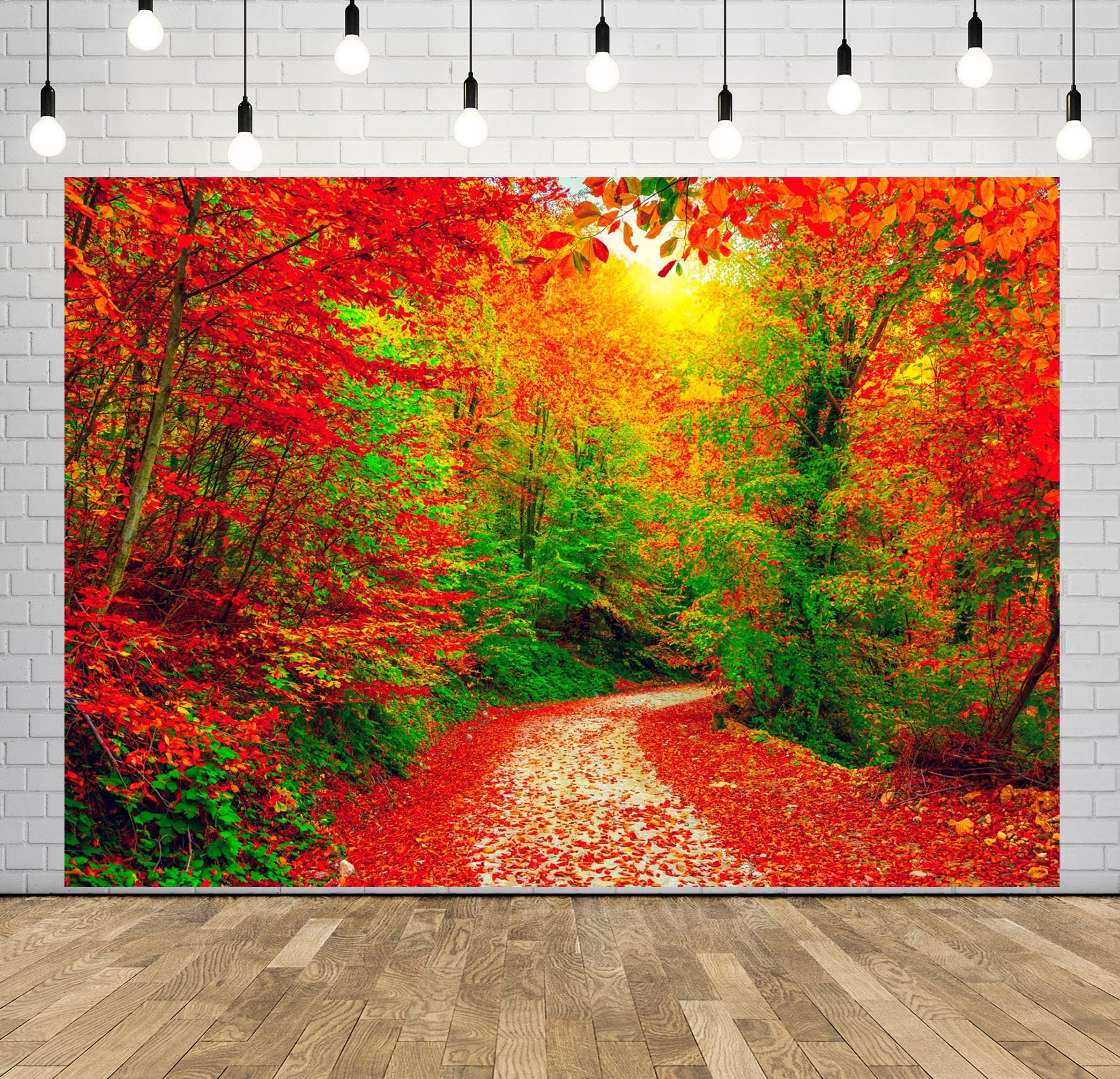 10x8FT Sendero Soleado Bosque Otoñal Fondo Fotográfico