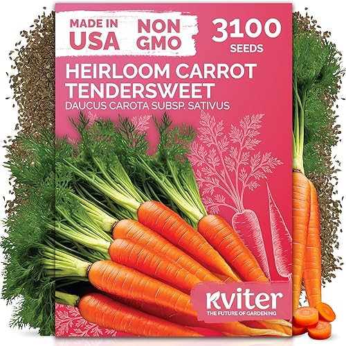 KVITER 3100 semillas de zanahoria tiernas para plantar (Daucus carota) - Semillas de vegetales sin OMG para jardín al aire libre - Zanahorias dulces