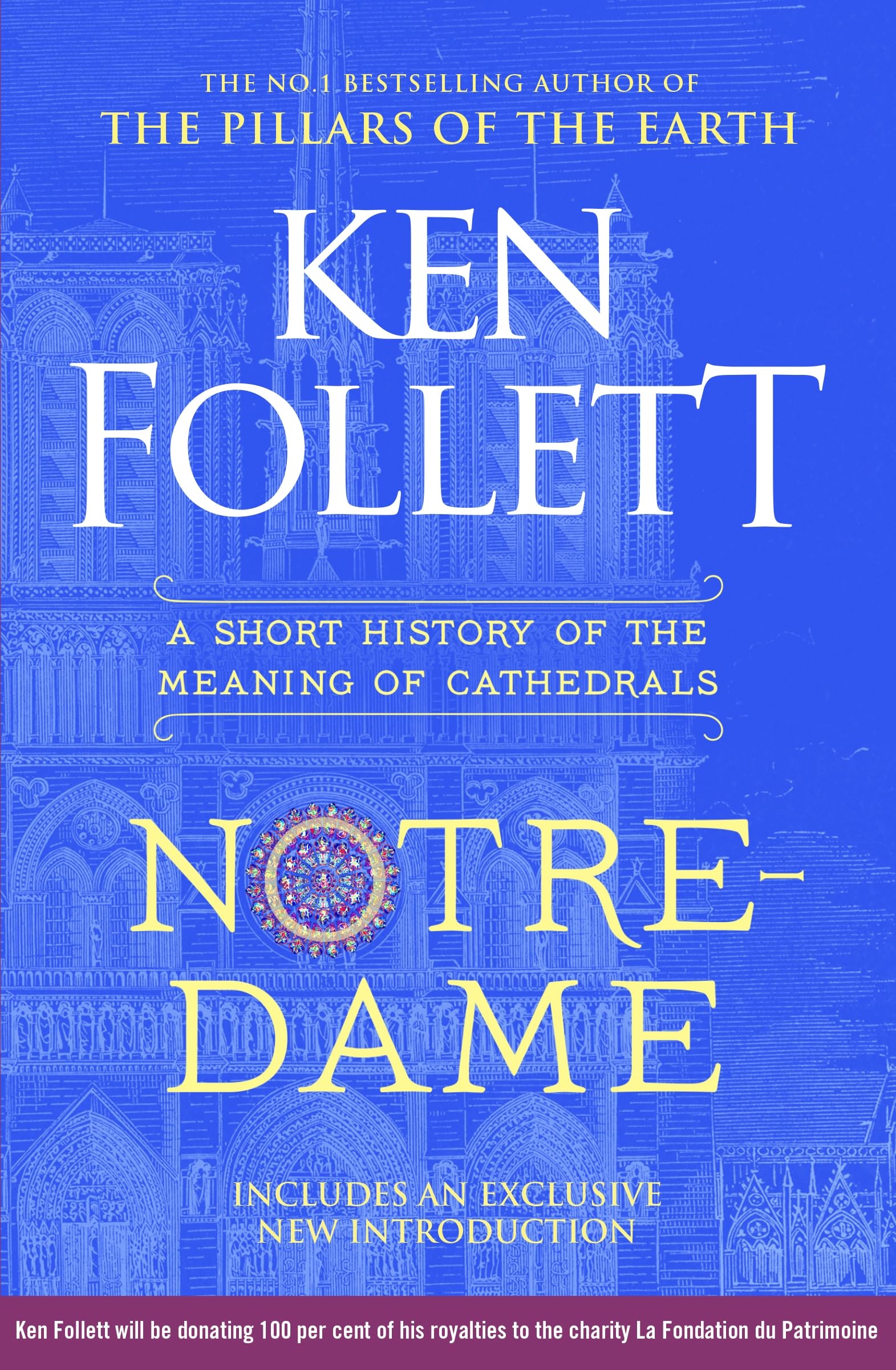 Notre-Dame: A Short History of the Meaning of Cathedrals From the Multi-million Copy Bestseller